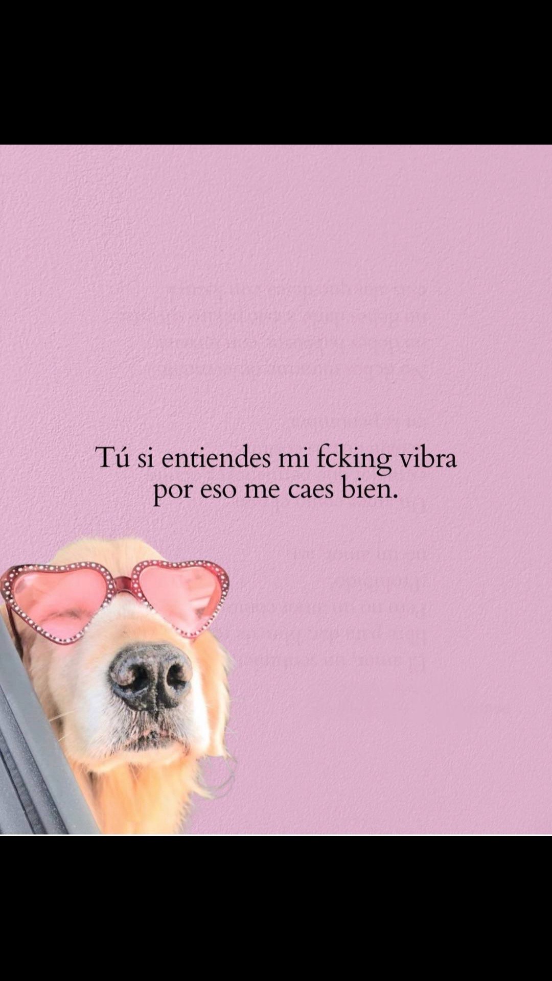 @Nancy Mad 🐶🐩