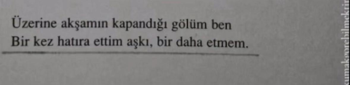 @Özkan Çelikkanat