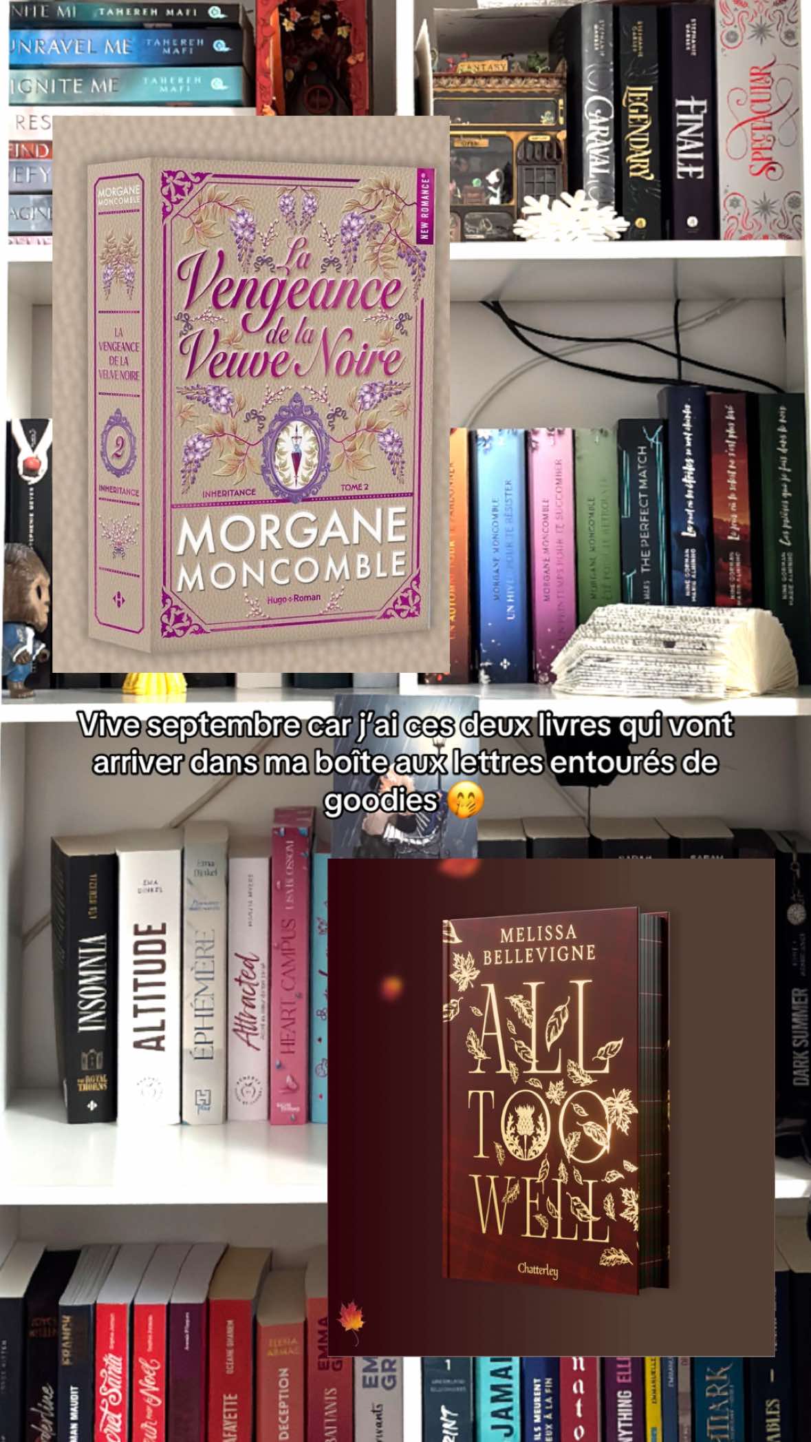 @📚 Aleaude ᥫᩣ