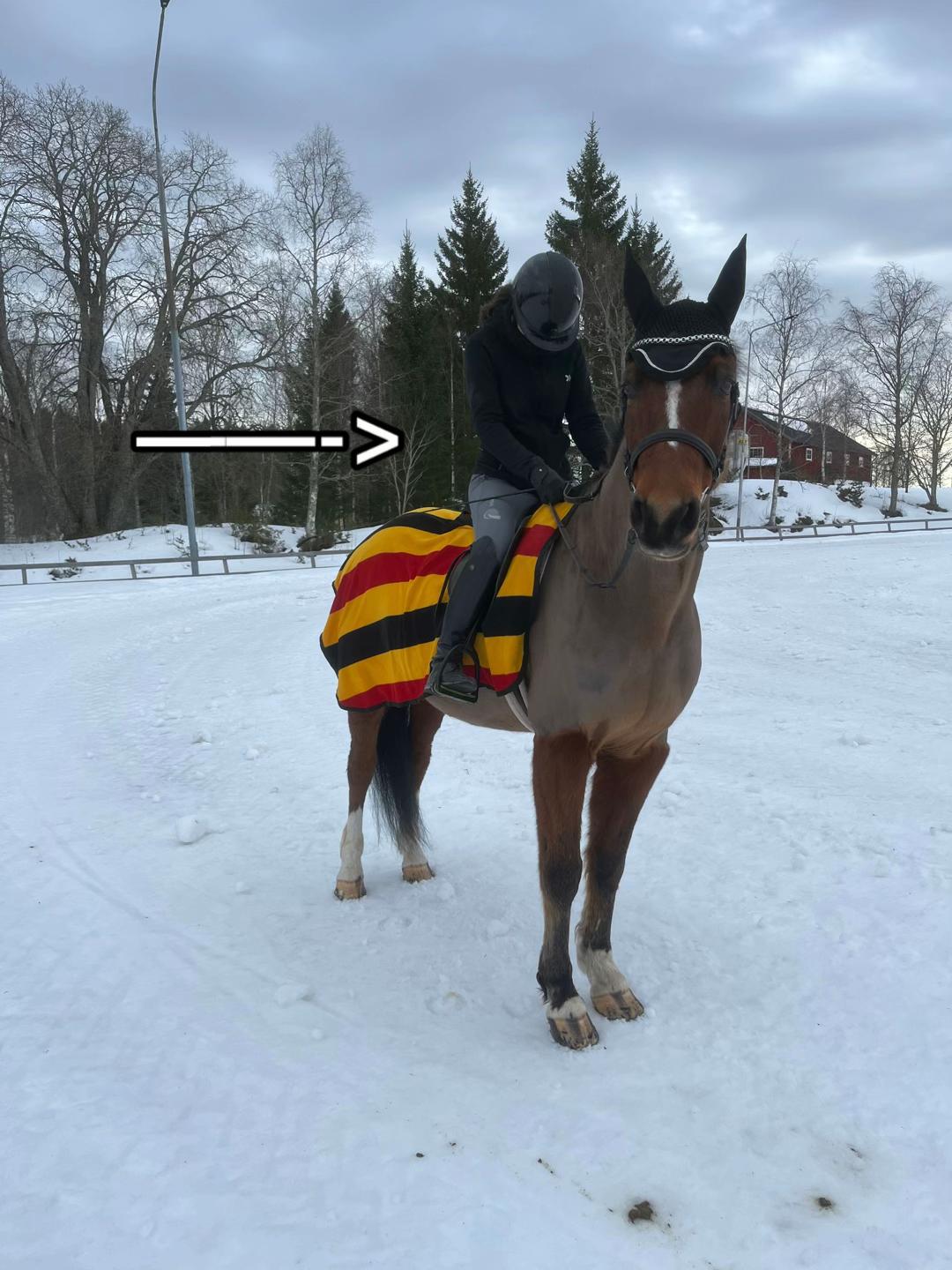 @Tilde Ängerud💗