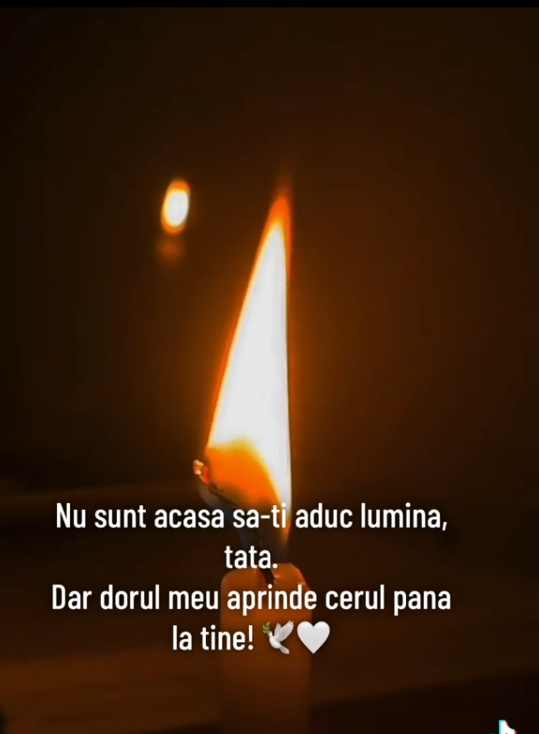 @ionuționuțfy