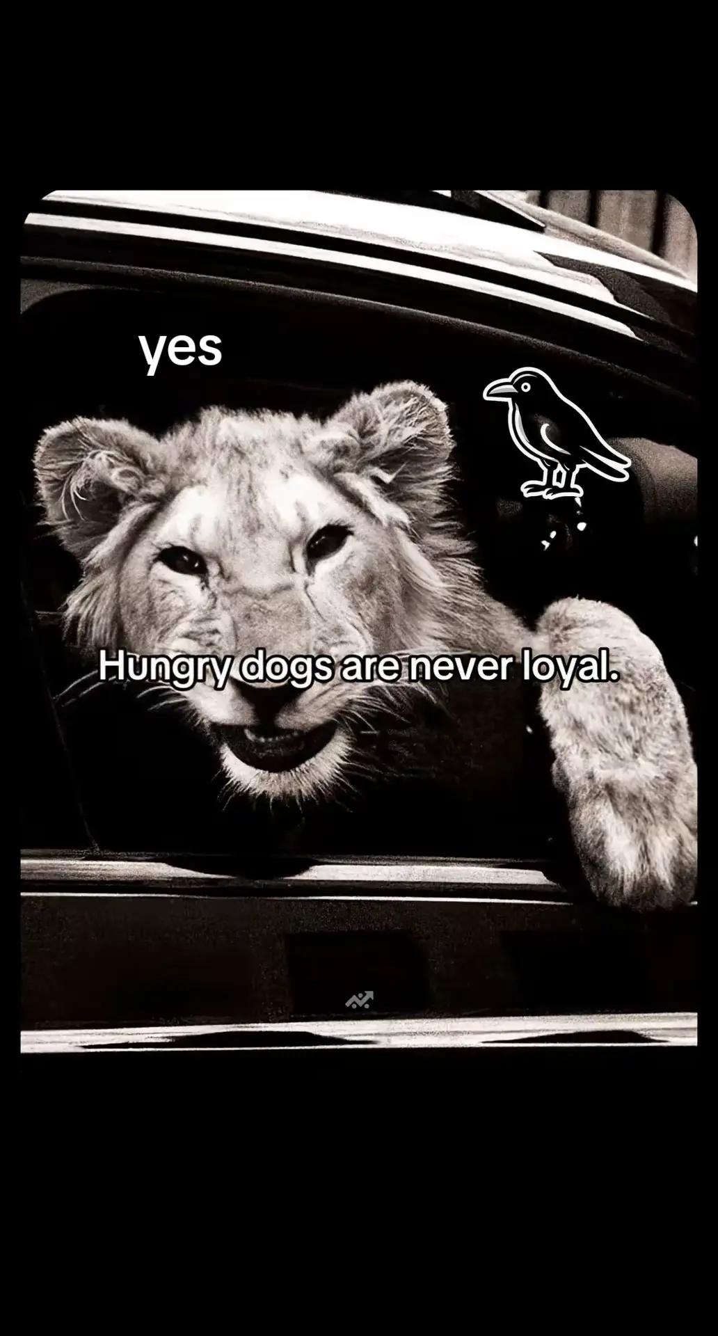 @PERSIAN1