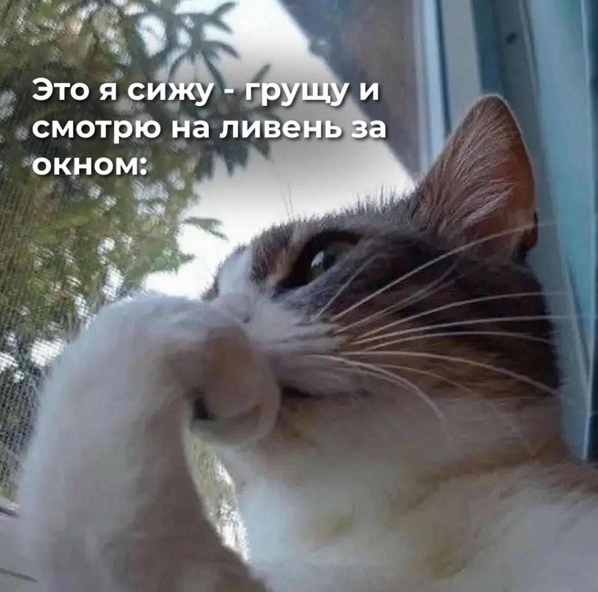 @cofix_belarus
