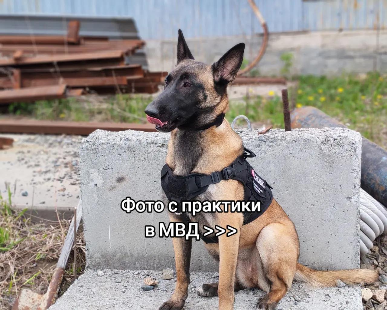 @⚡Кита from авито⚡