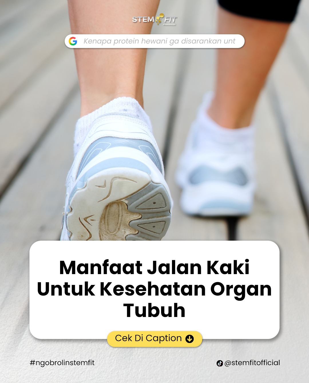 @Stemfit Official