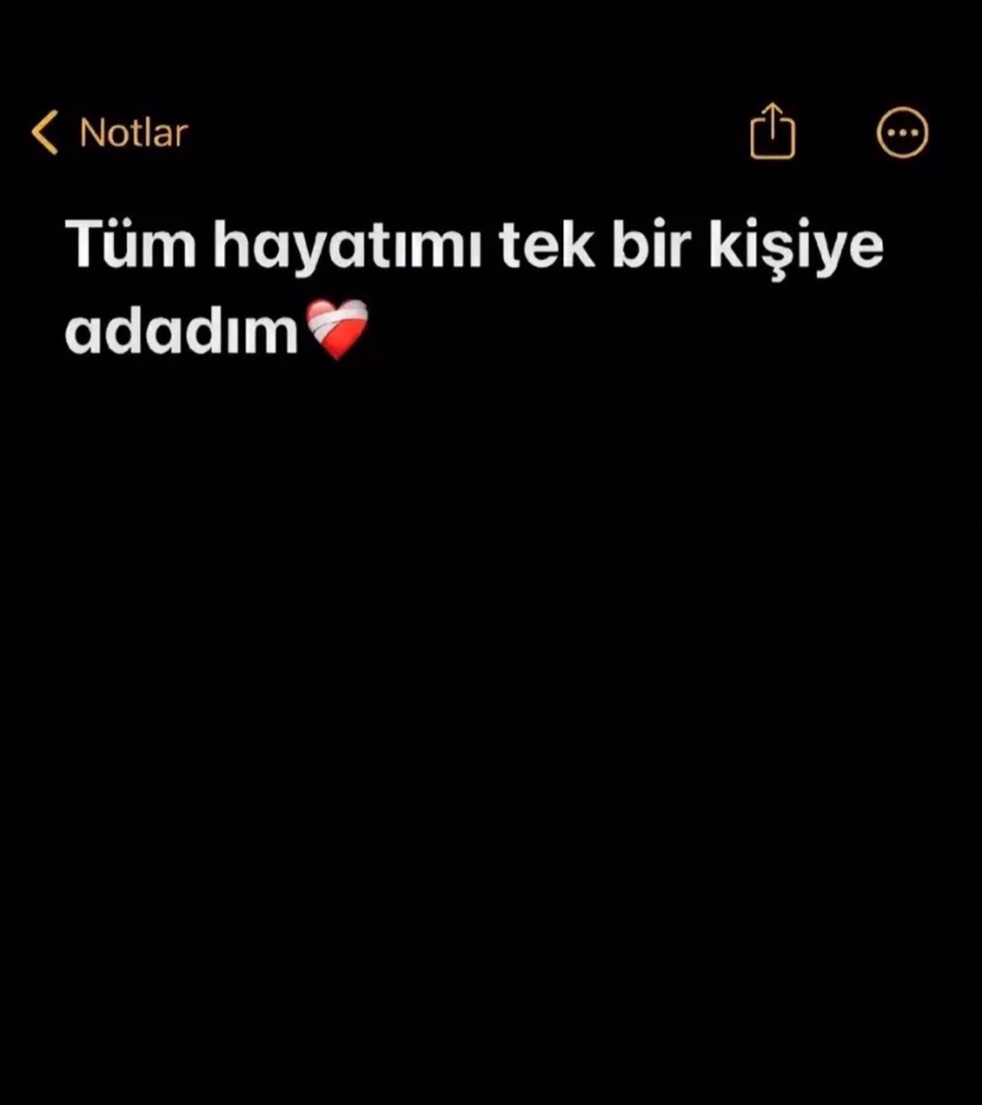 @Erva🪬