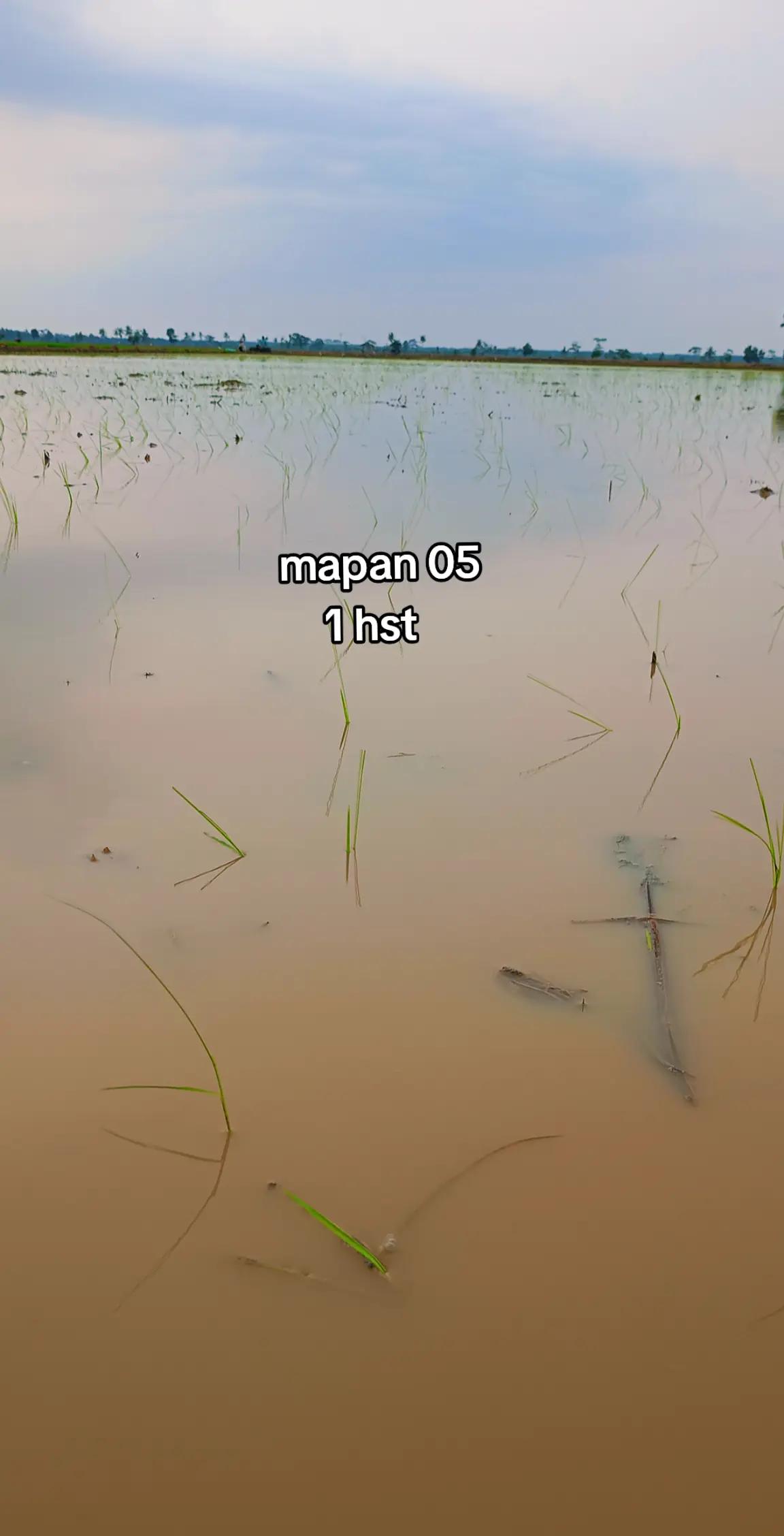 @I🅰️N