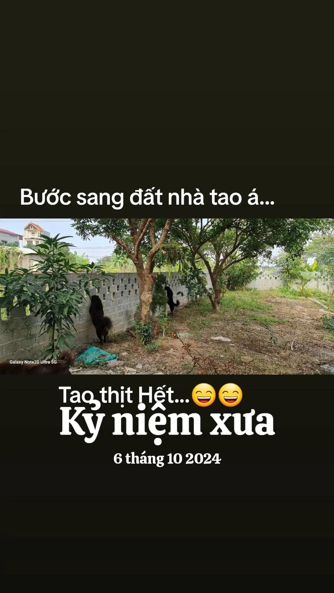 @๐ฆ๐ฆ๐๐ญ๐Ô๐น๐ฒ๐๐ฆ๐ฆ