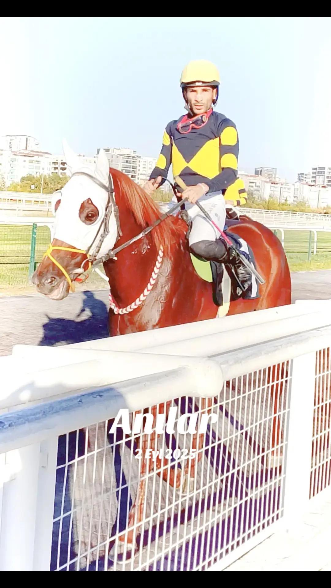 @brs horse racing