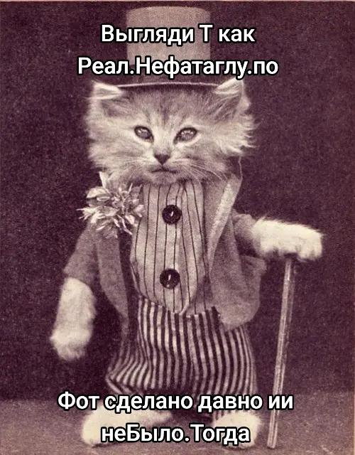 @блогер кича