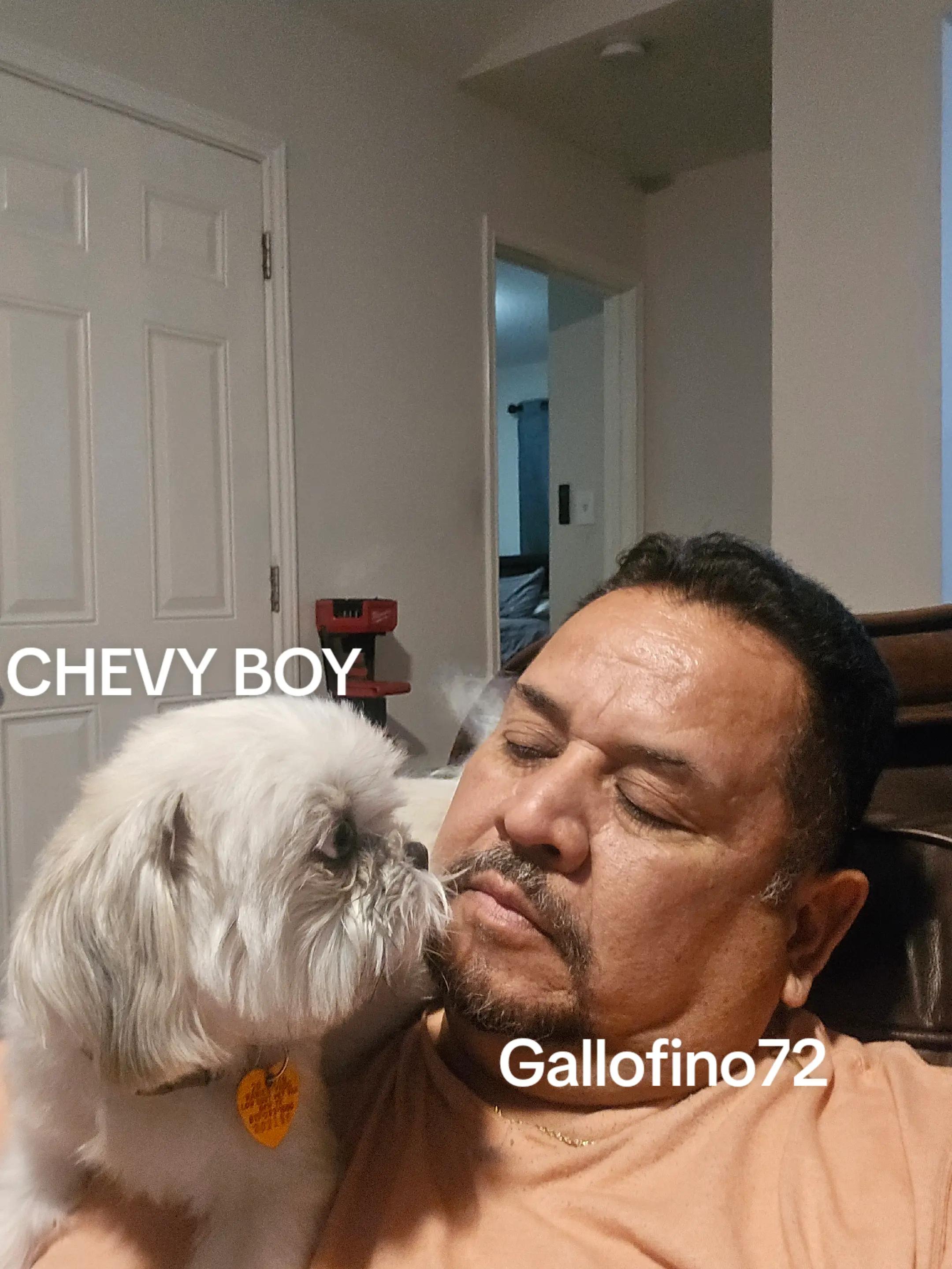 @ElGalloFino