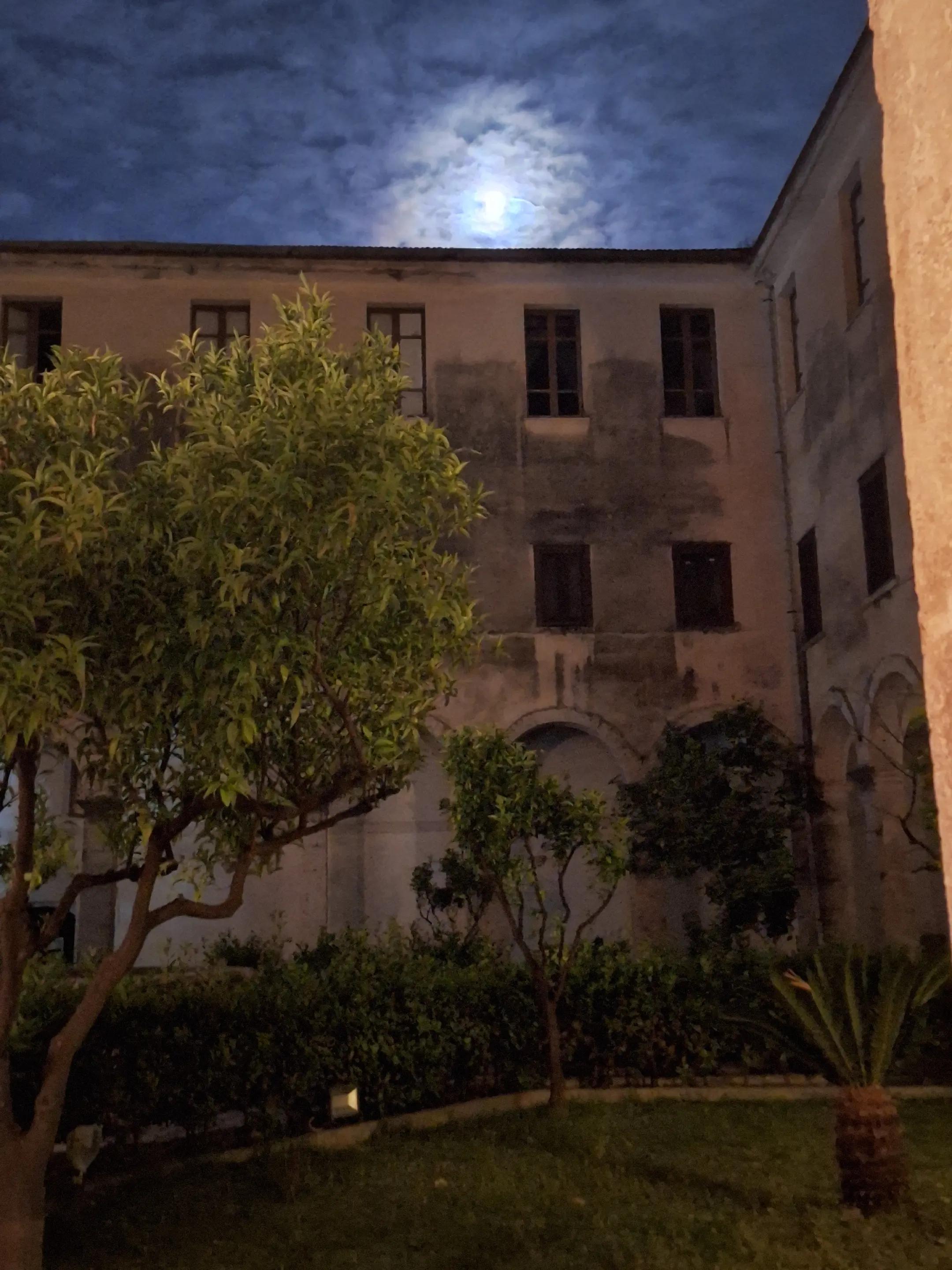 @salvatore mancino