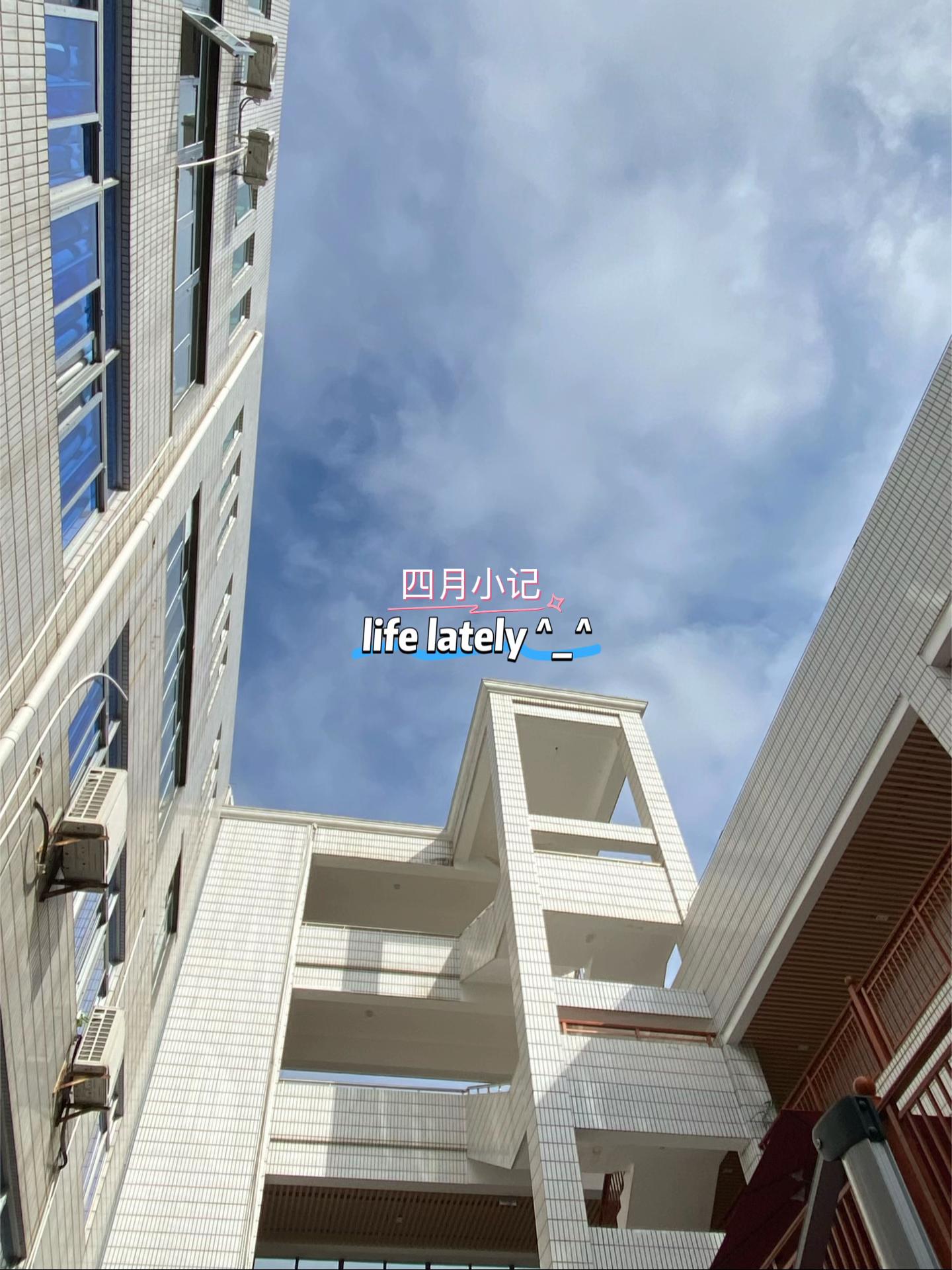 @aeriiiirán𝜗𝜚˚⋆