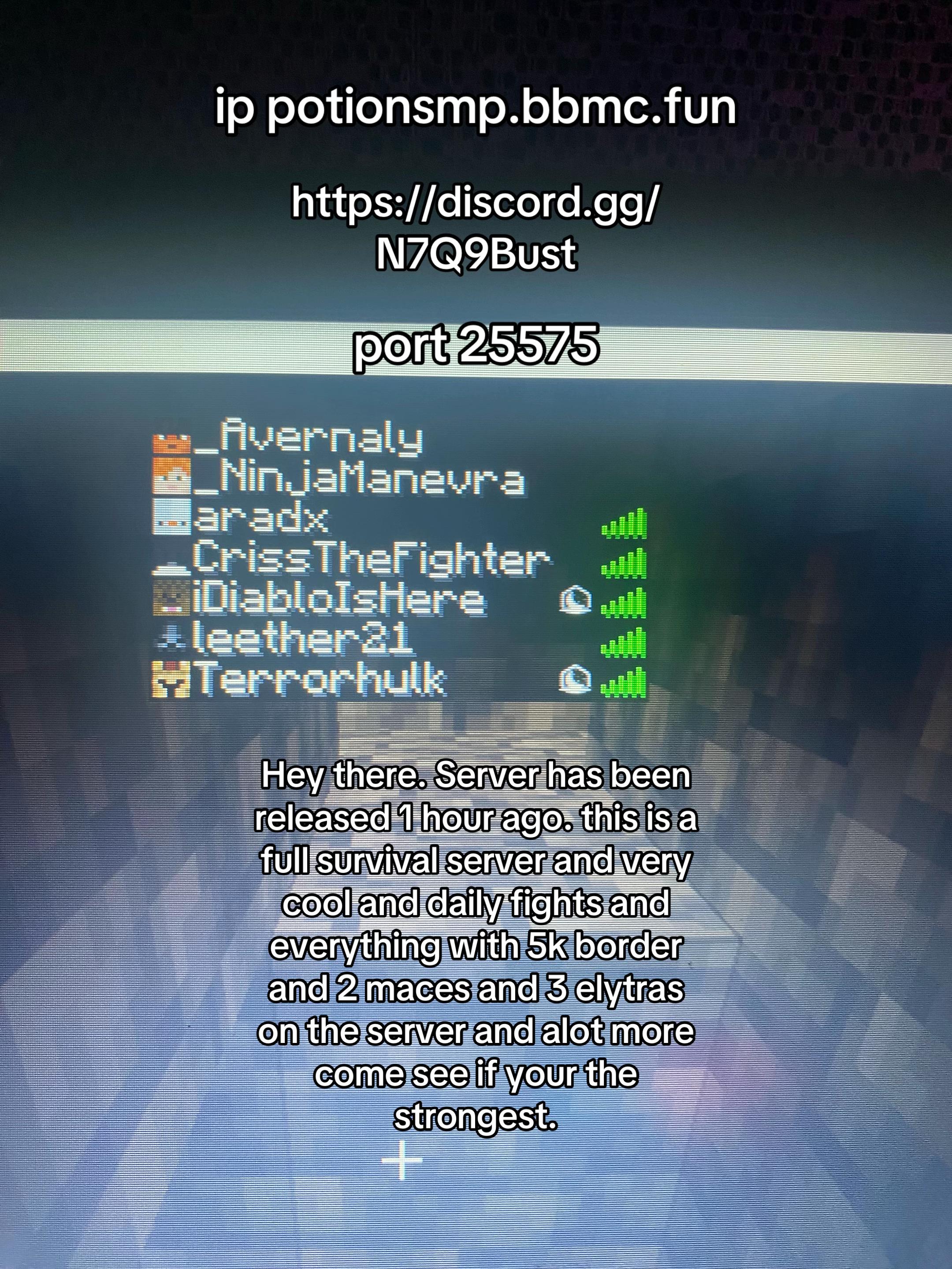 @Potion SMP