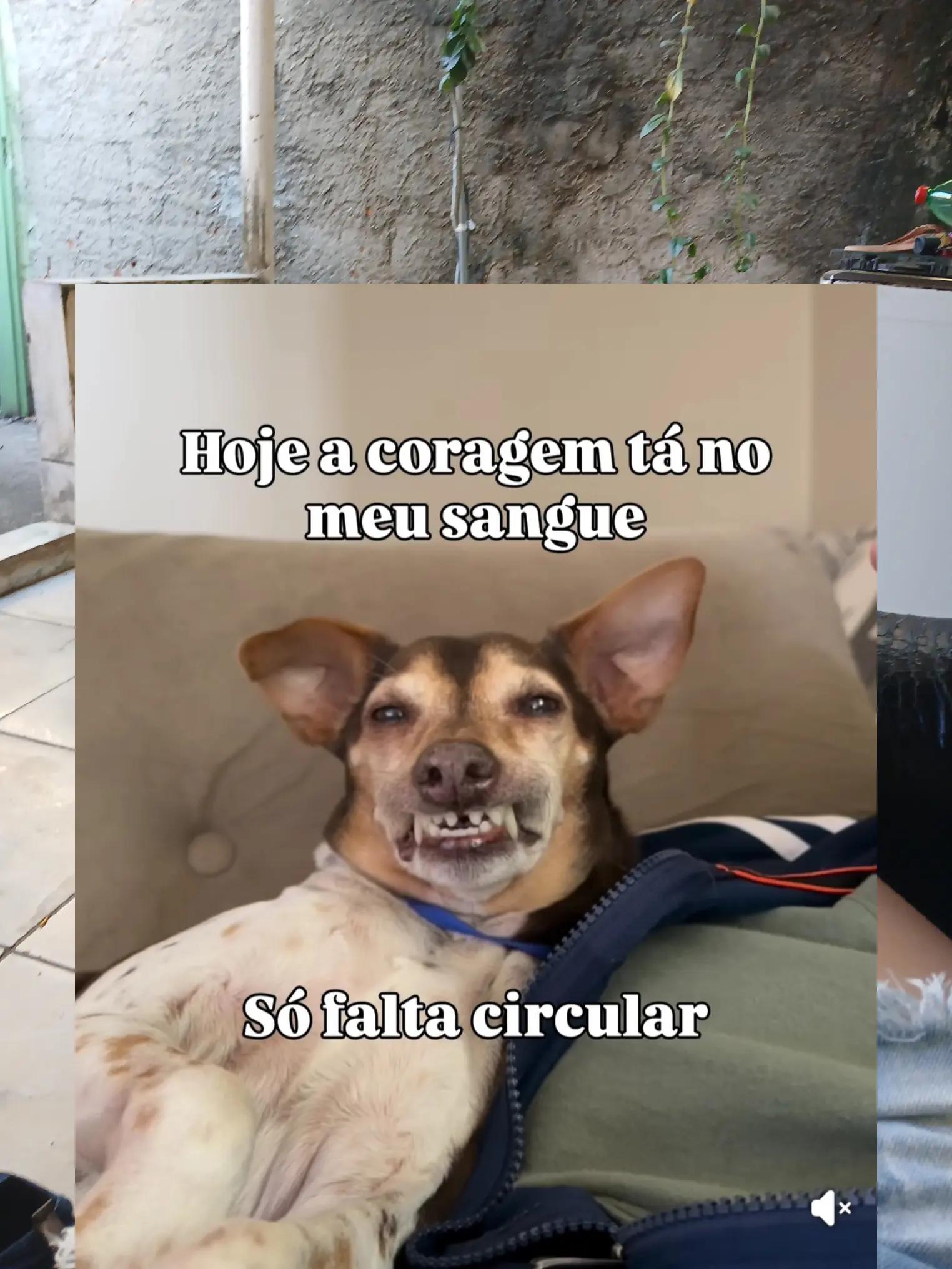 @Celiane