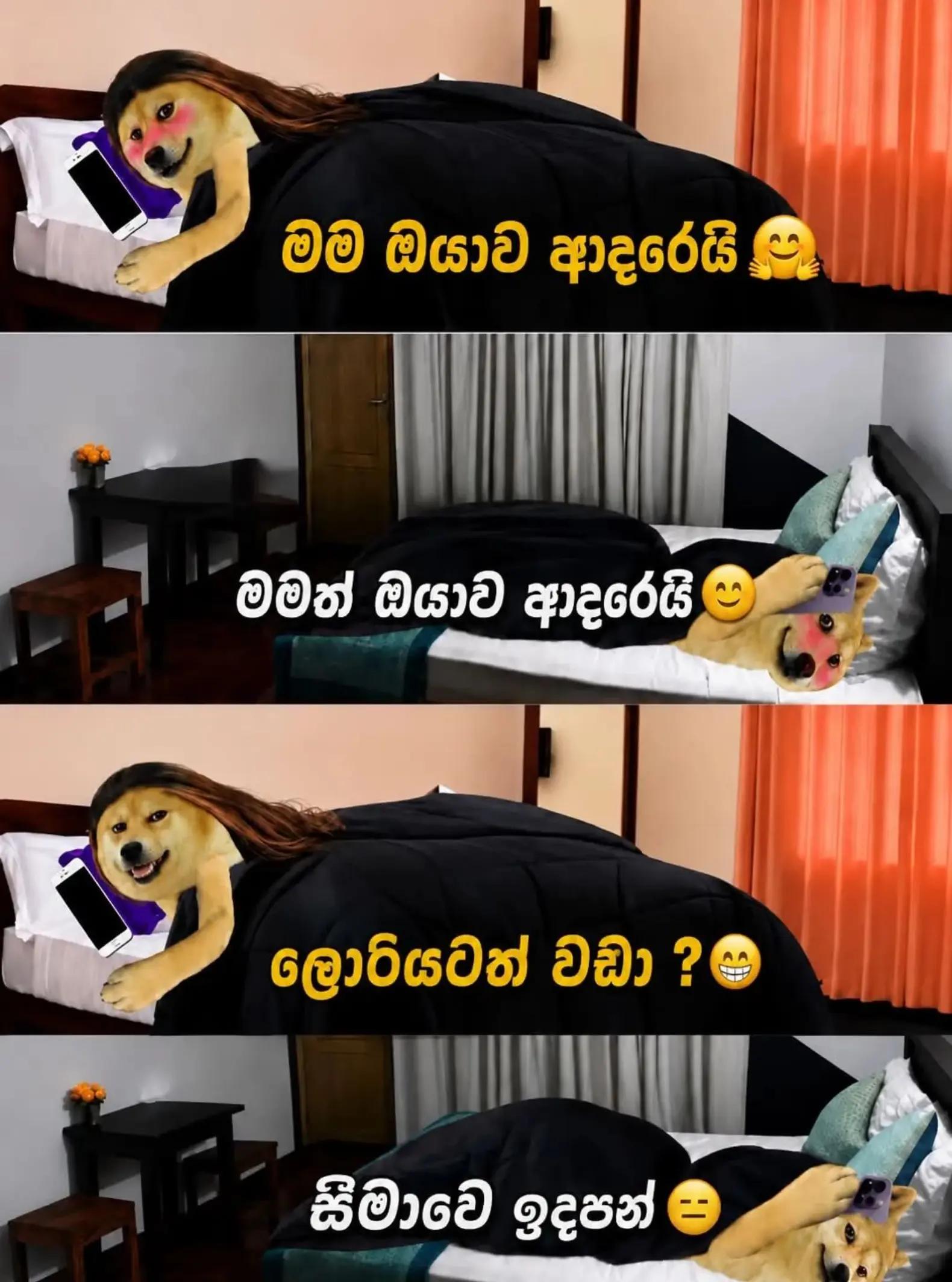 @Imesh Supun Udayanga