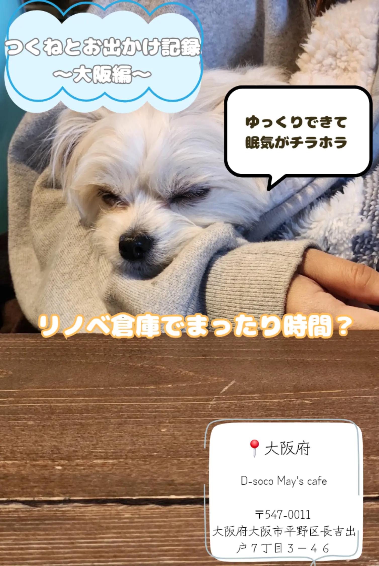 @つくねくん