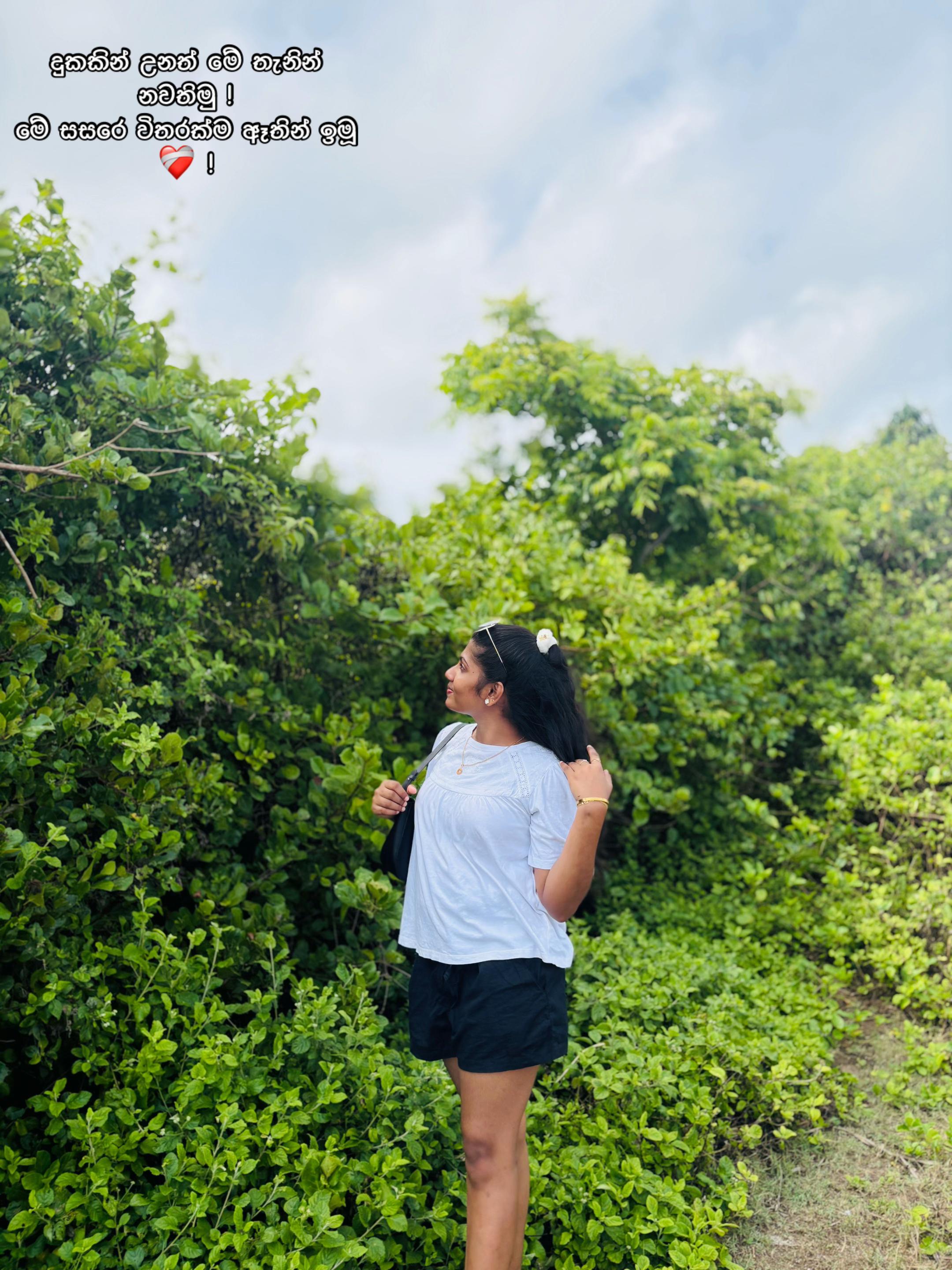 @" 𝐒 " 🧚♀