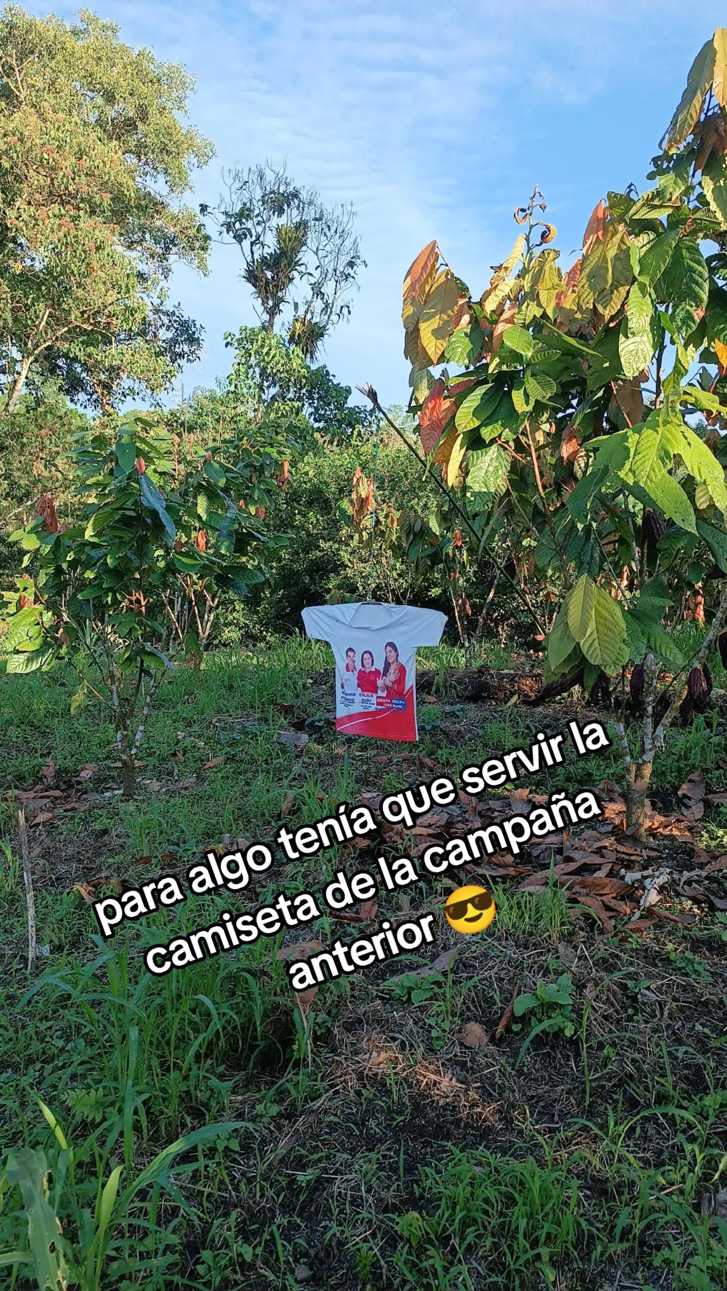 @🇯 🅾️ 🇭 🇳 🇸 🇪🇨