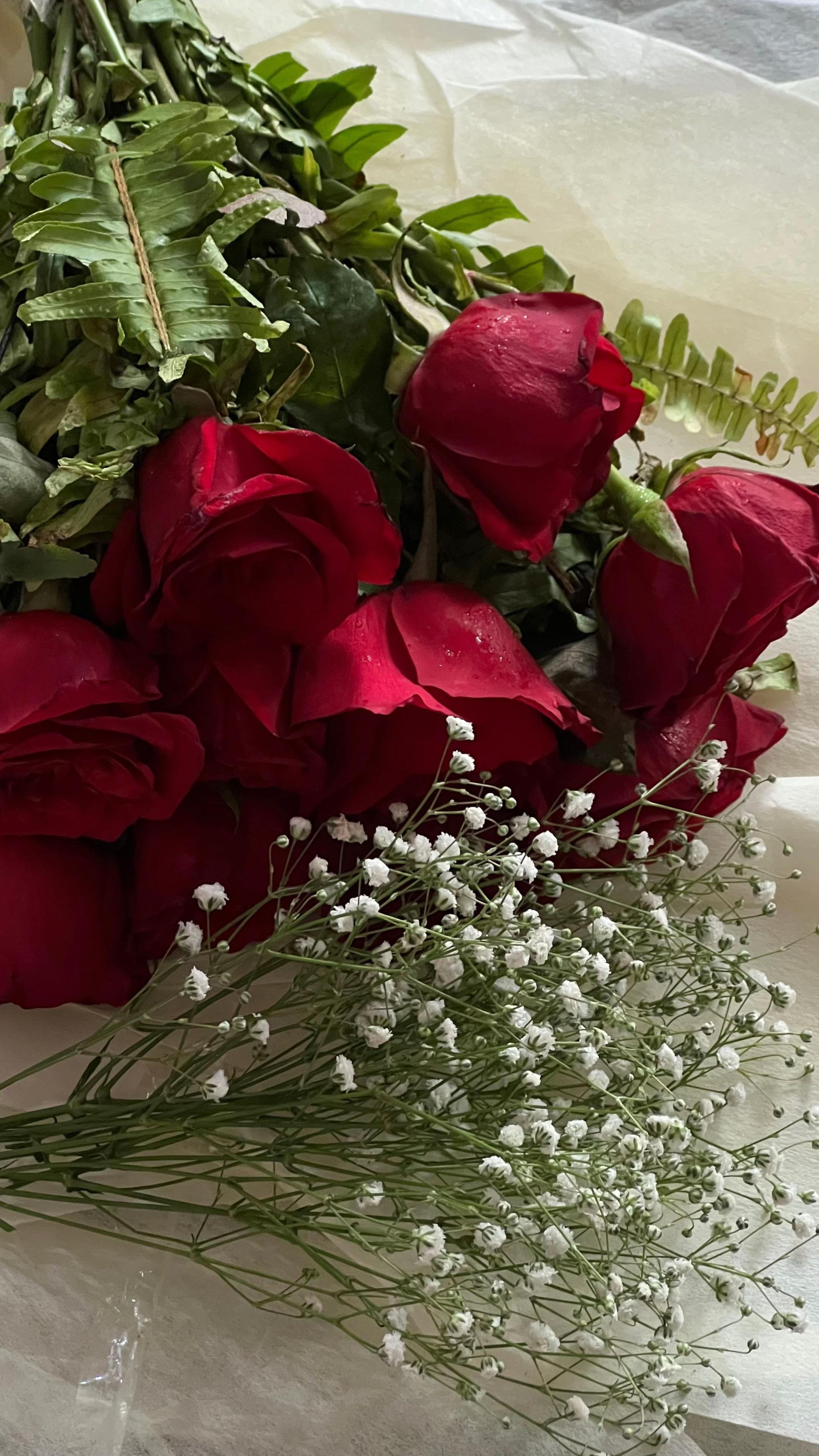 @𝓙𝐆ᥫ᭡