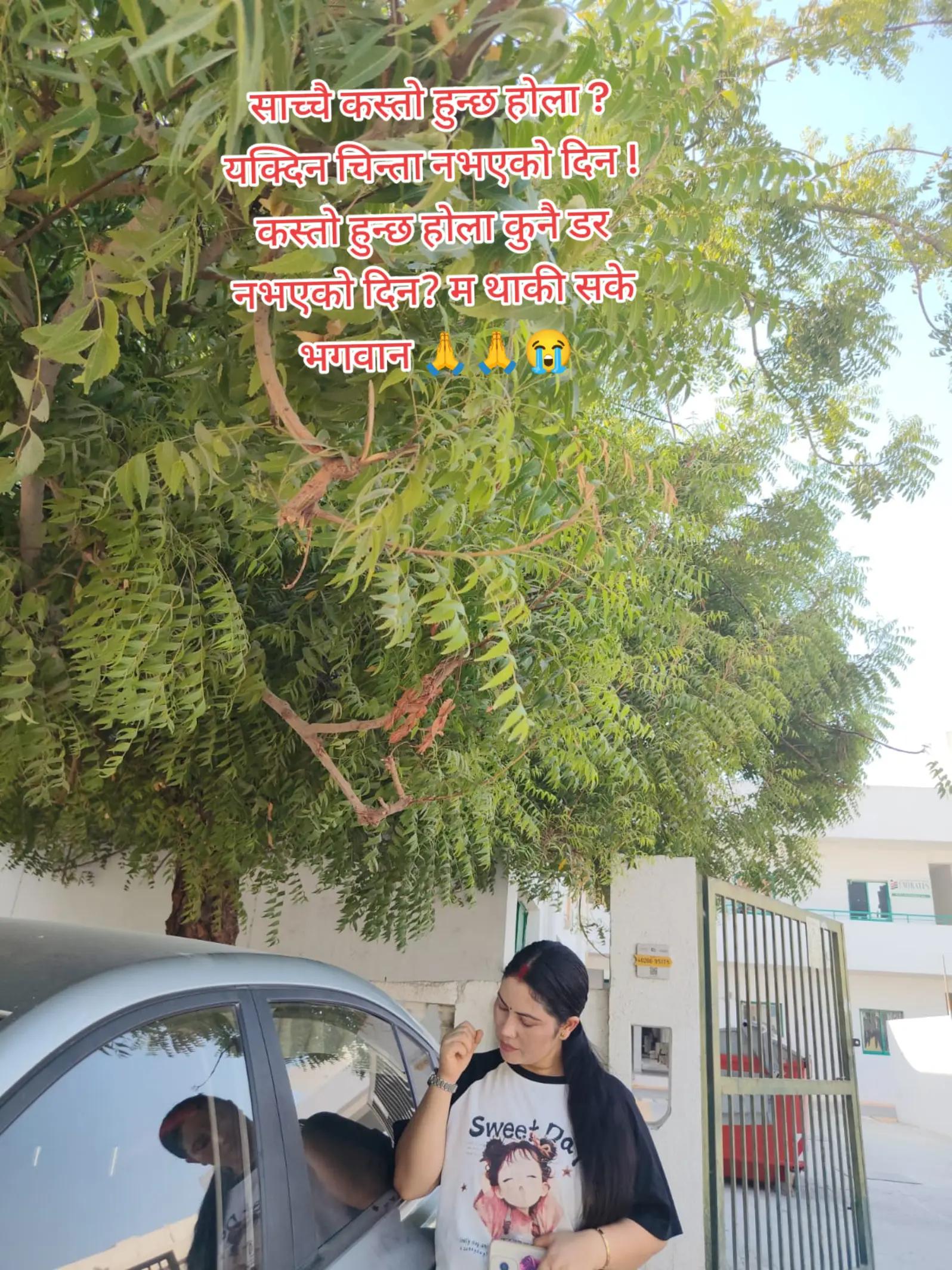 @susmita 🍂🍂🍂