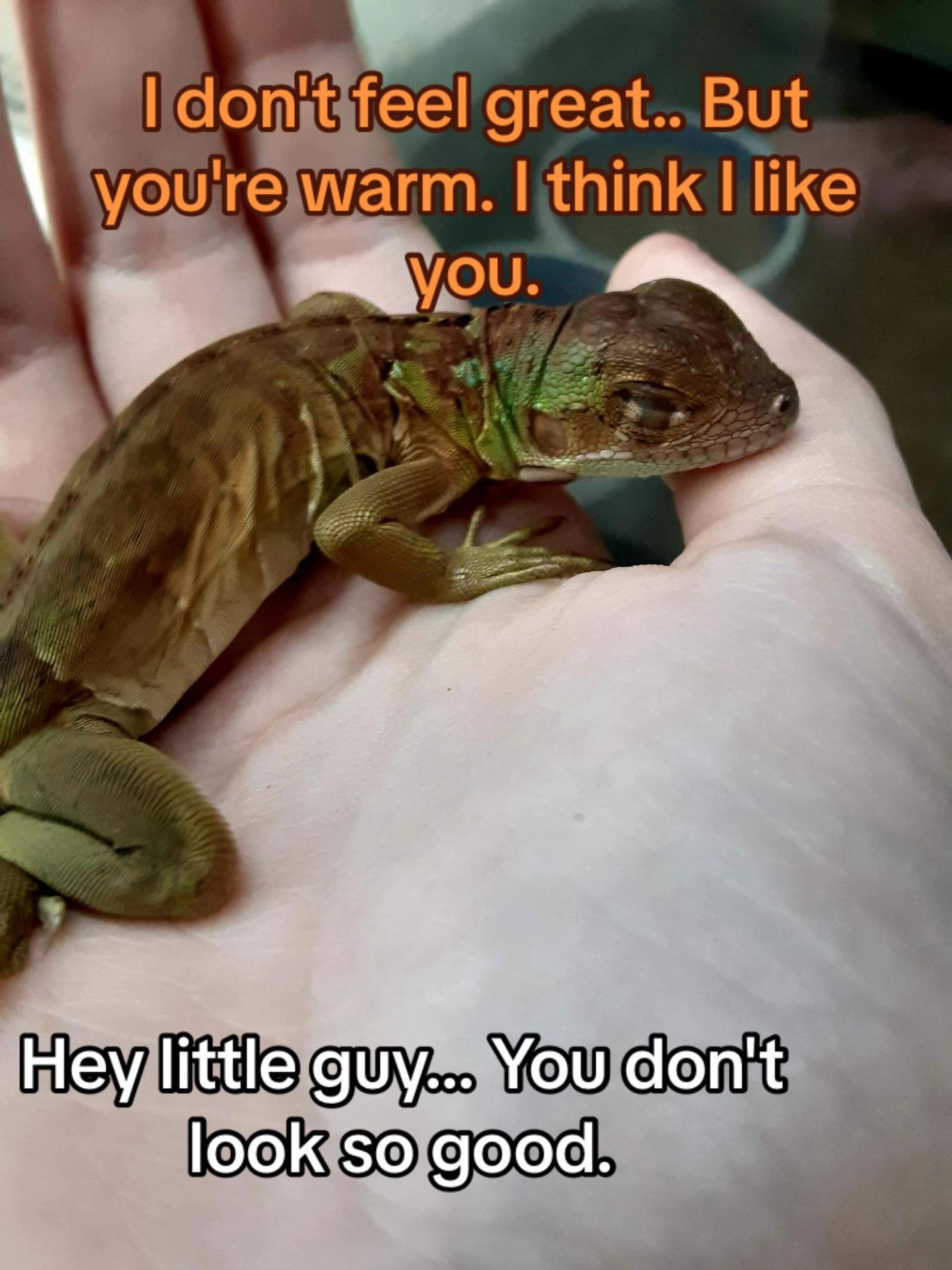 @kit