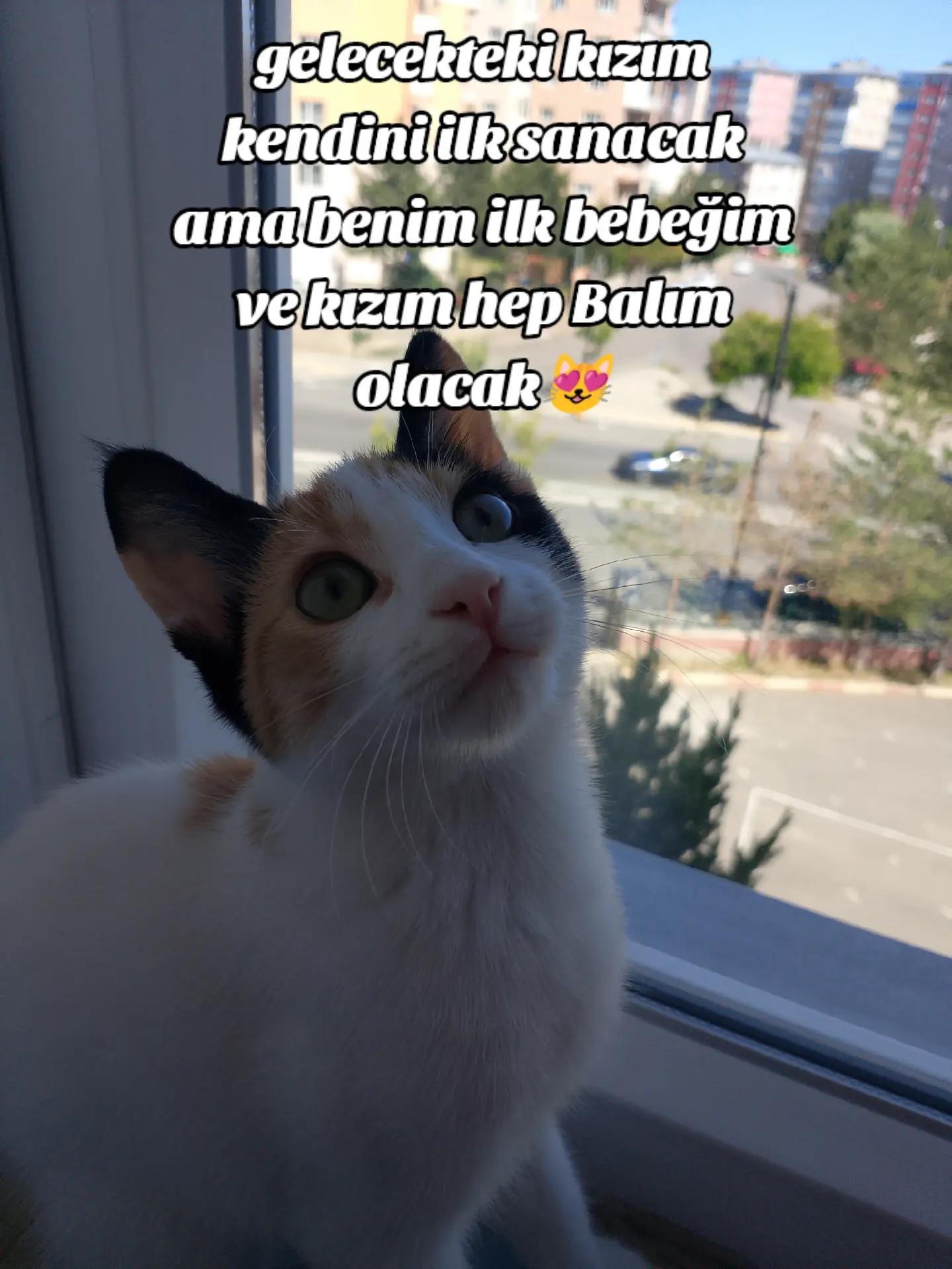 @𝕹𝖊𝖍𝖎𝖗