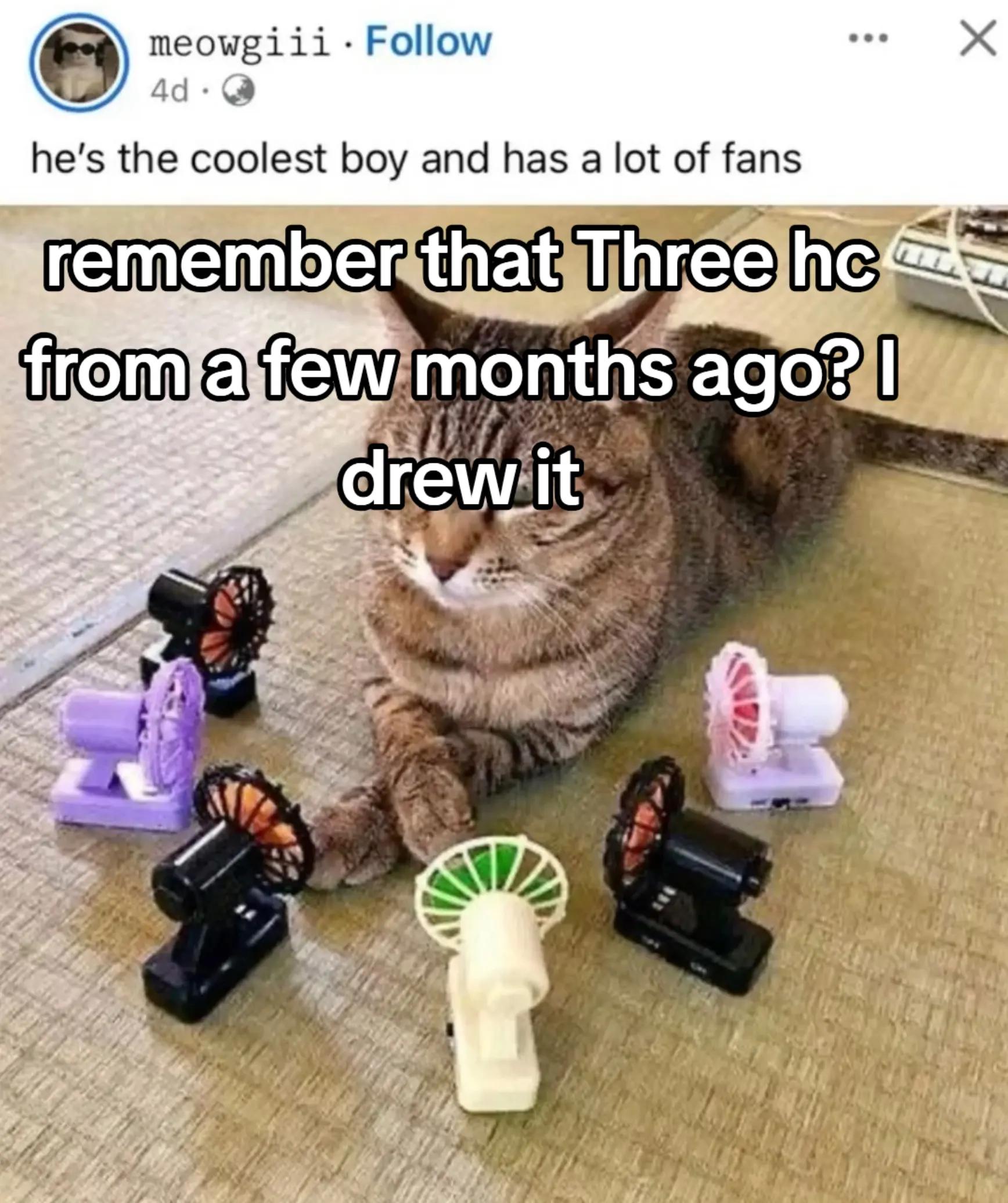@Ani