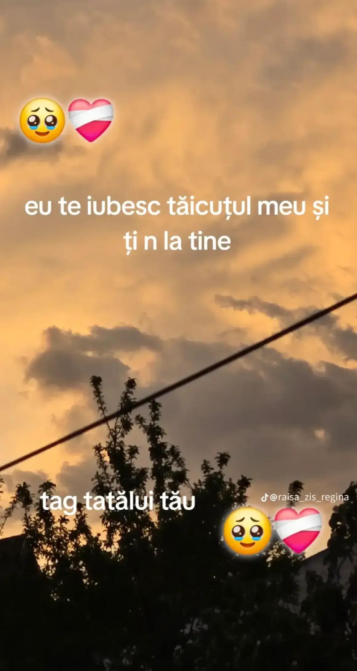 @Nicoleta Sidonia