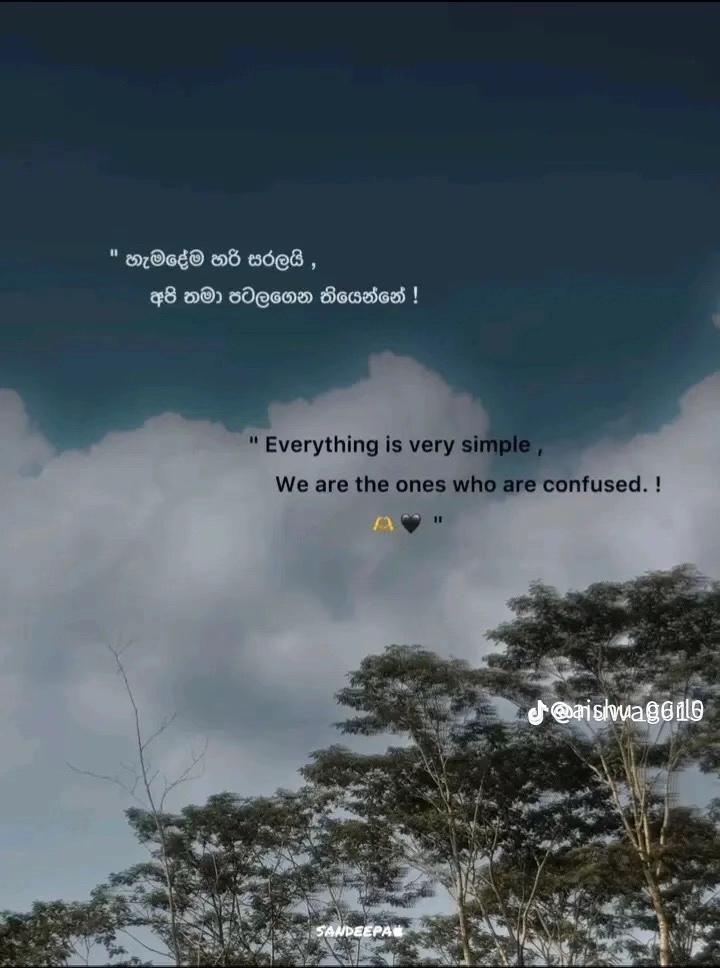 @@liyanage views@