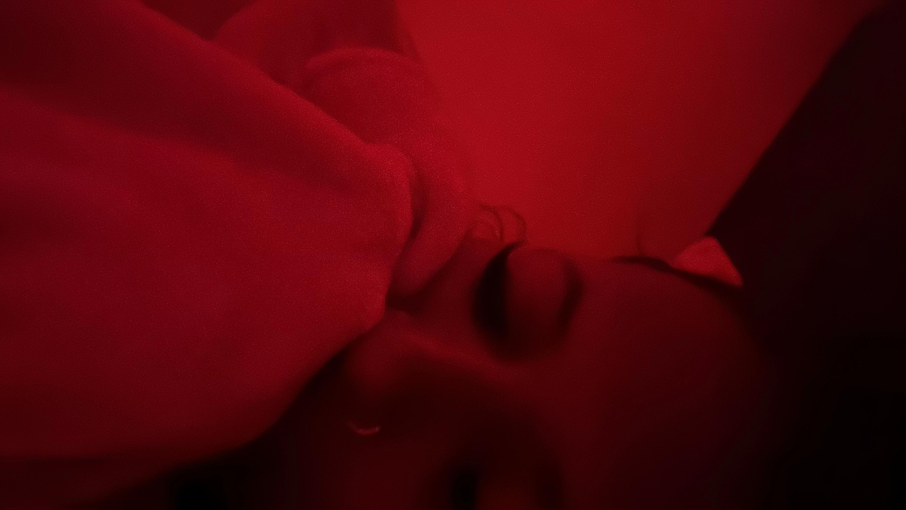 @Soy_vane🫦🦌