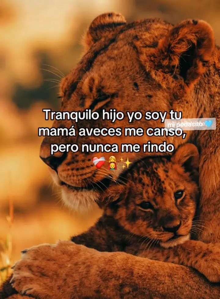 @๐ Brenda baldemar ๐