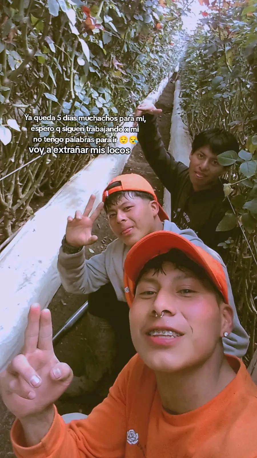 @🔋BELLAKO 🇪🇨