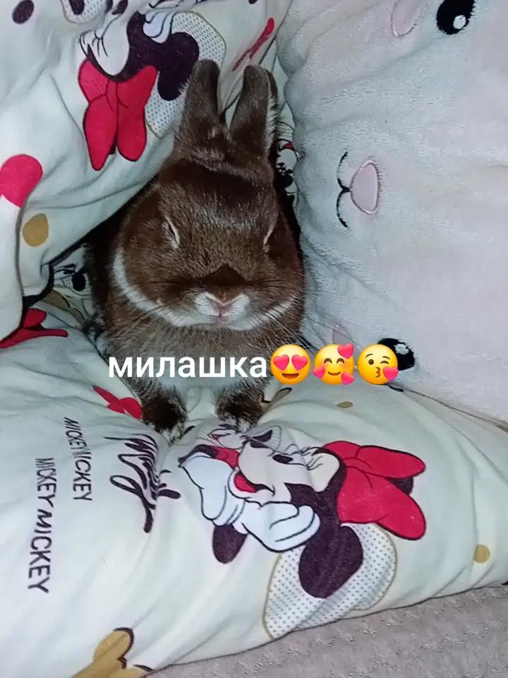 @стабильно софия😛