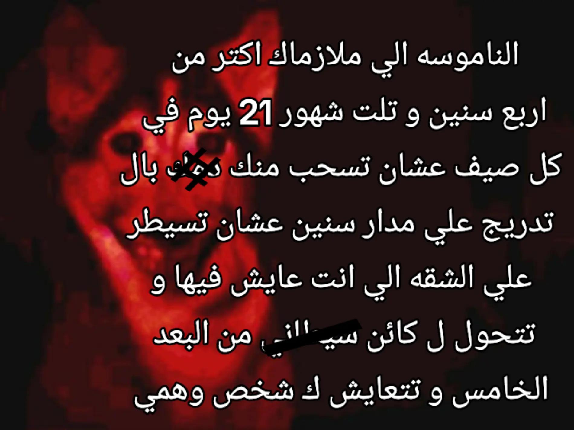 @شوكه مطبخ