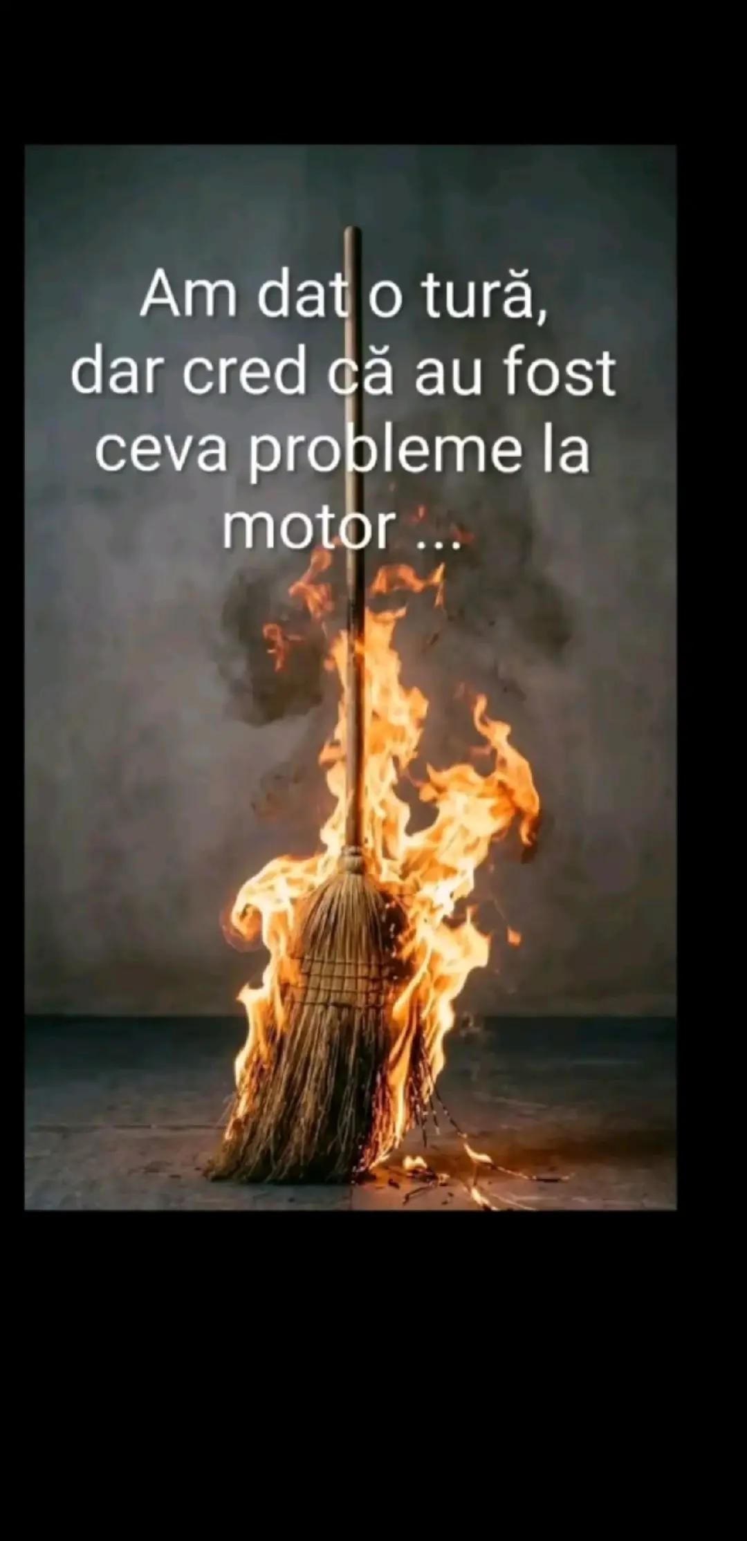 @Alina Bucura