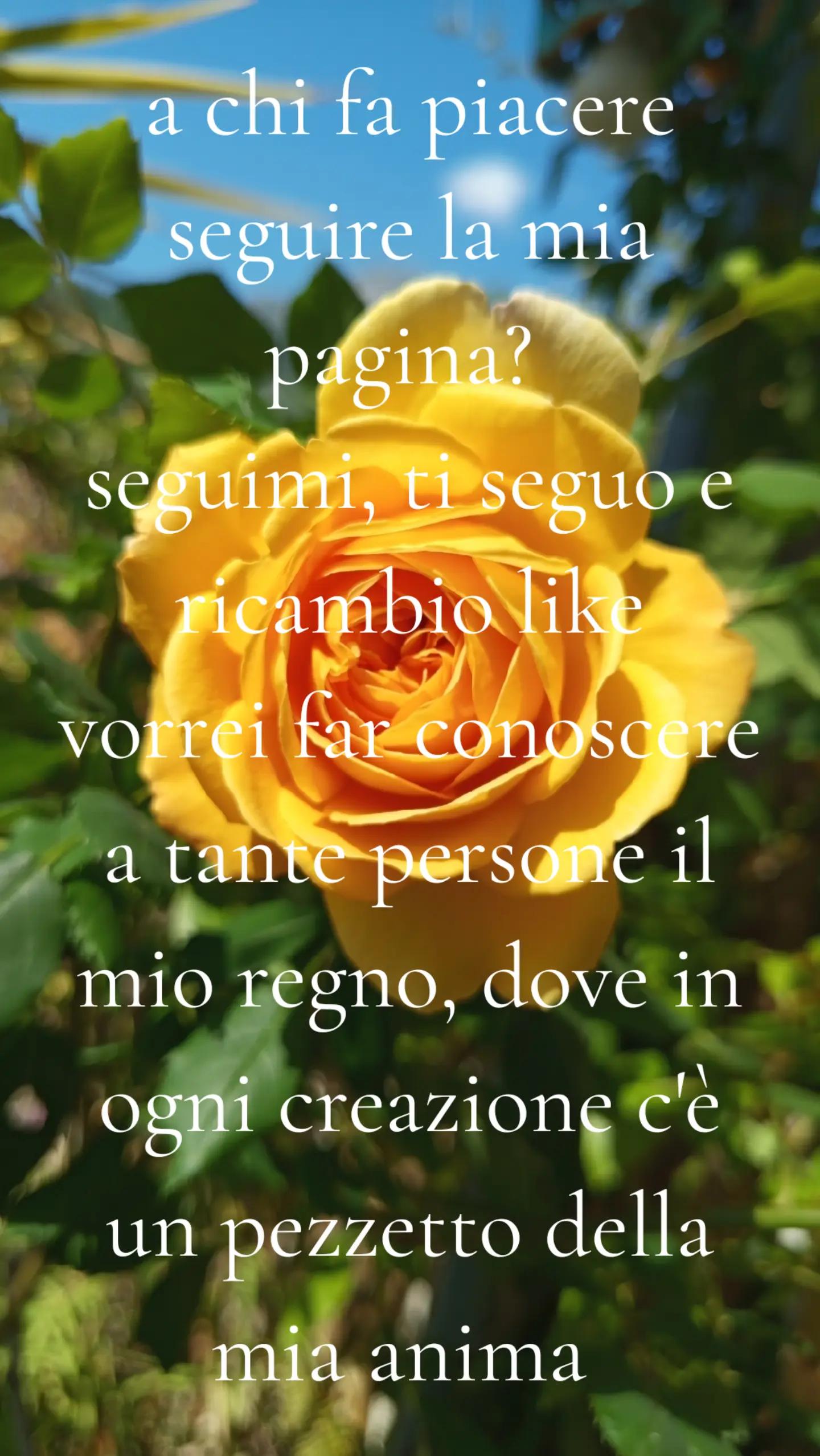 @il regno magico di Myriam
