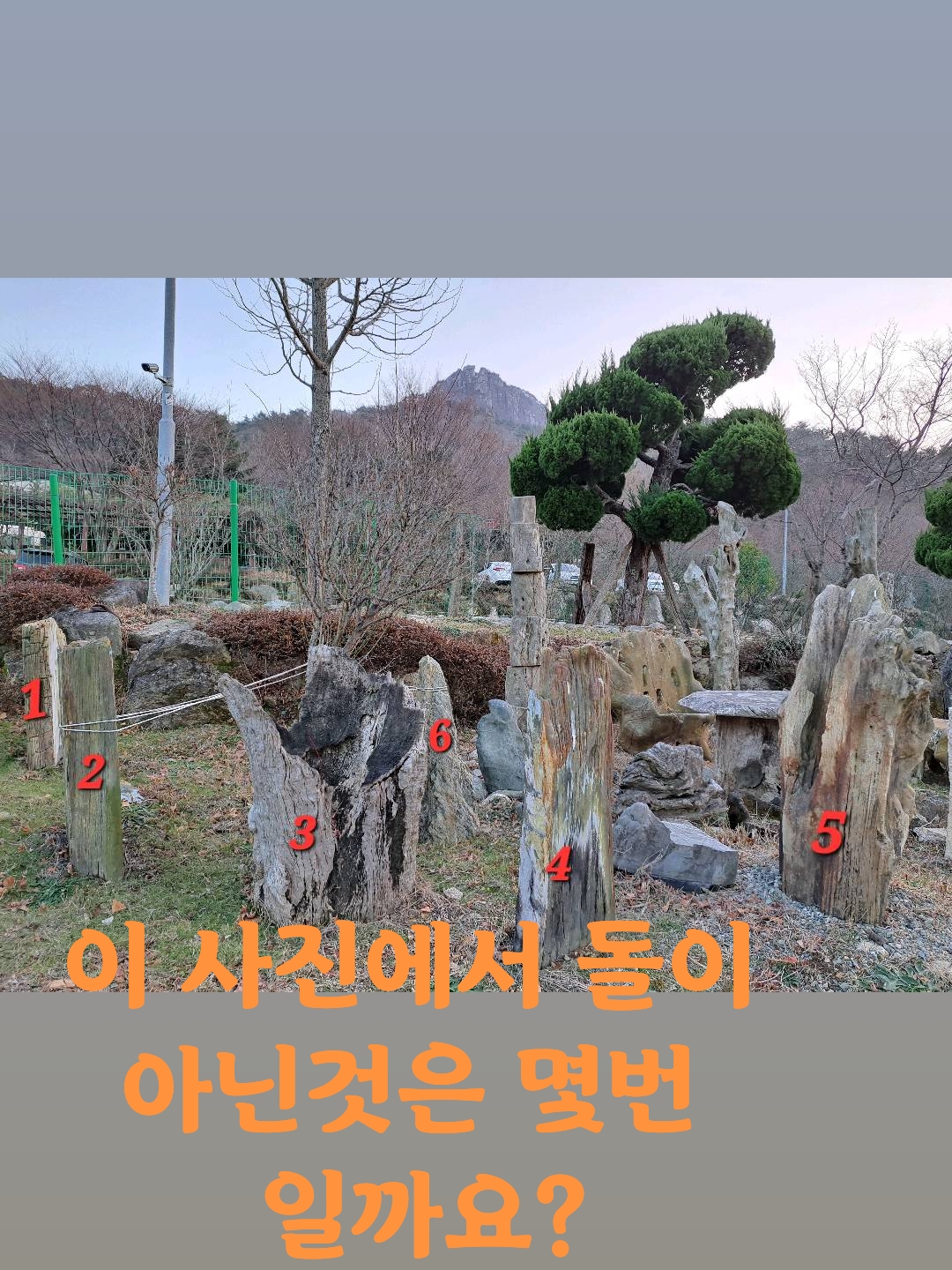 @건강주권회복 옥쌤
