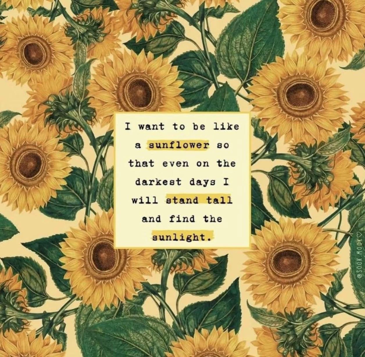 @Miranda 🌻