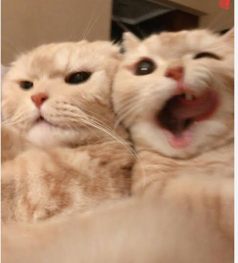 @๐ฝ๐ธ๐โ๐๐งโ๏ธ