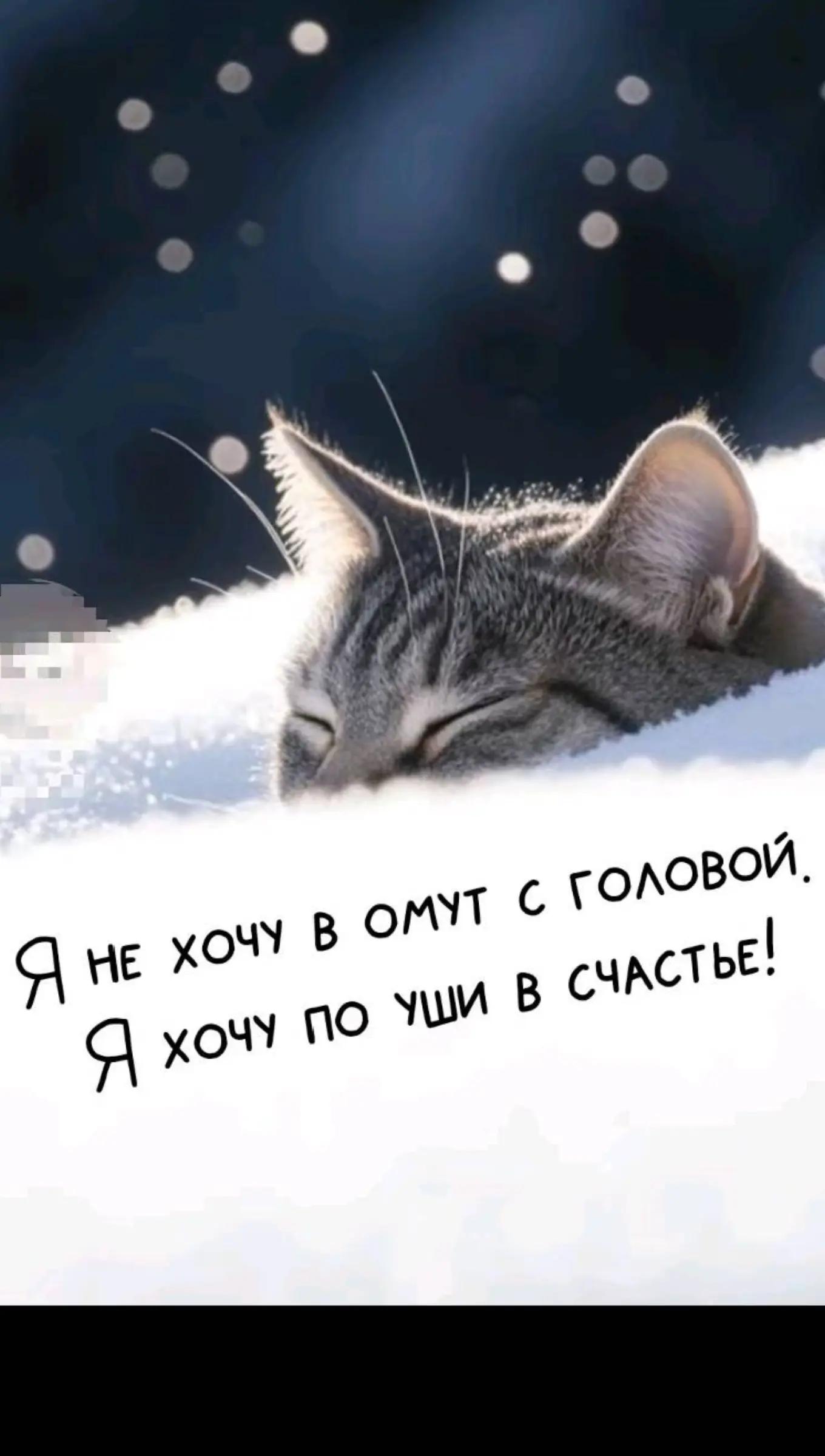 @Мин татарча Кыз)