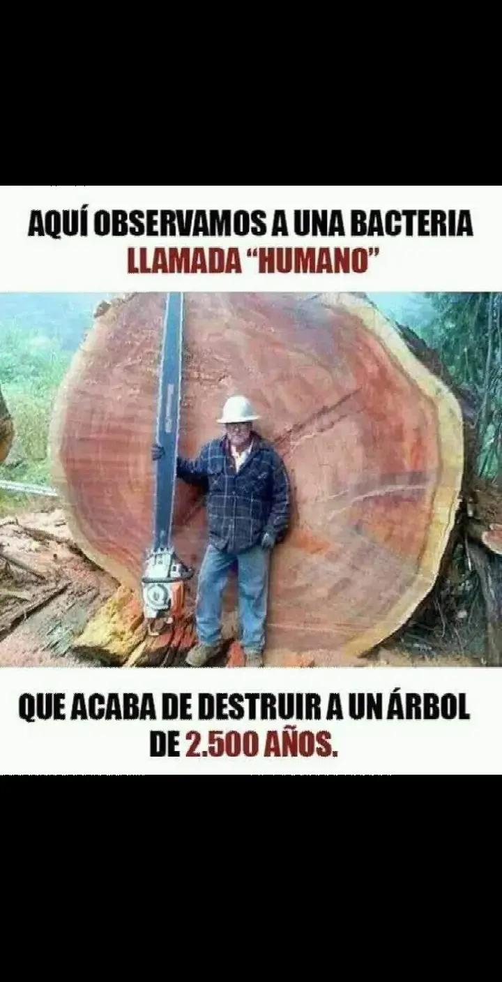 @despierta tu conciencia