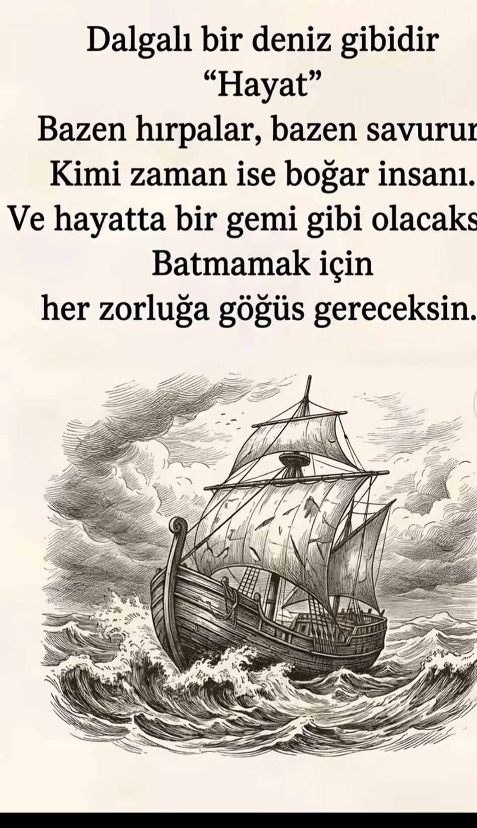 @🌻🇹🇷Reva🇩🇪🌻