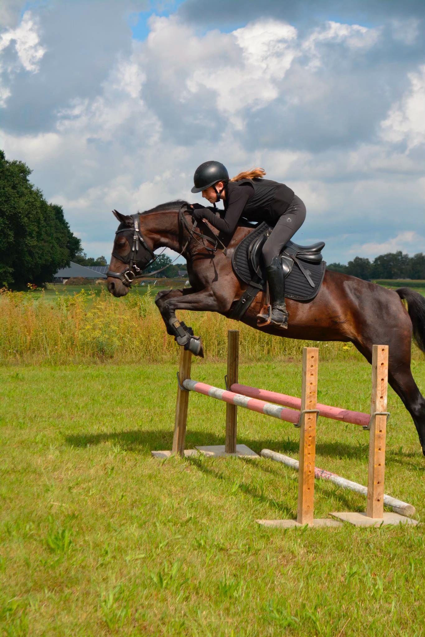 @Equi Roosje🇳🇱
