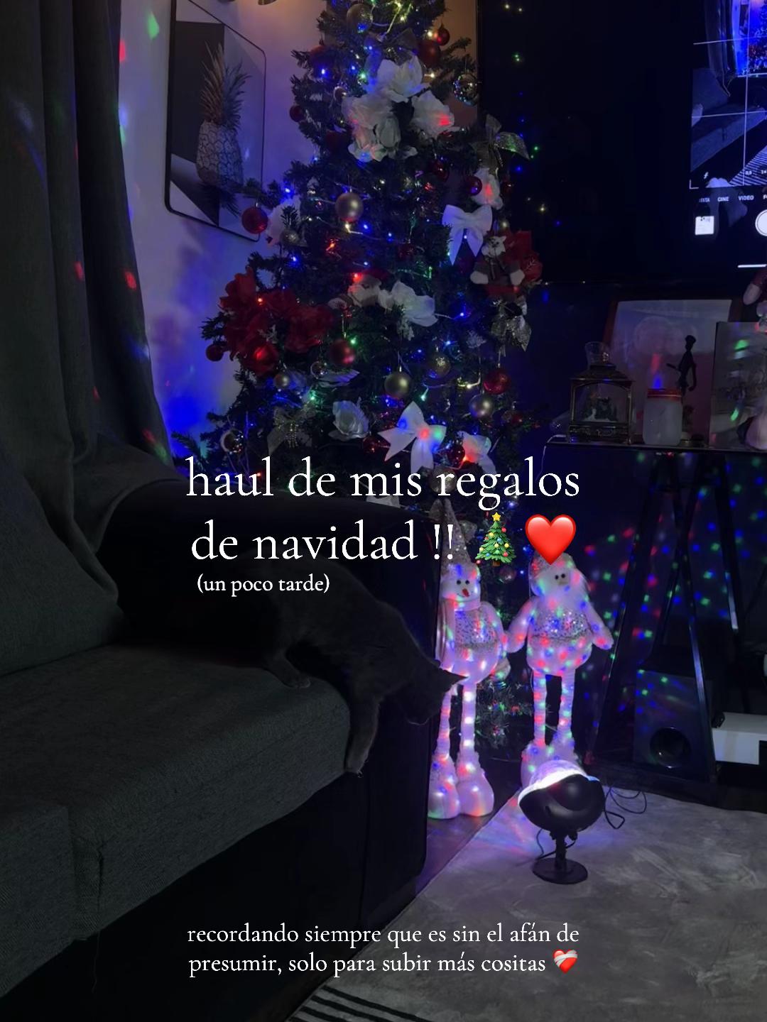 @camila . ꕤ 。˚⋆