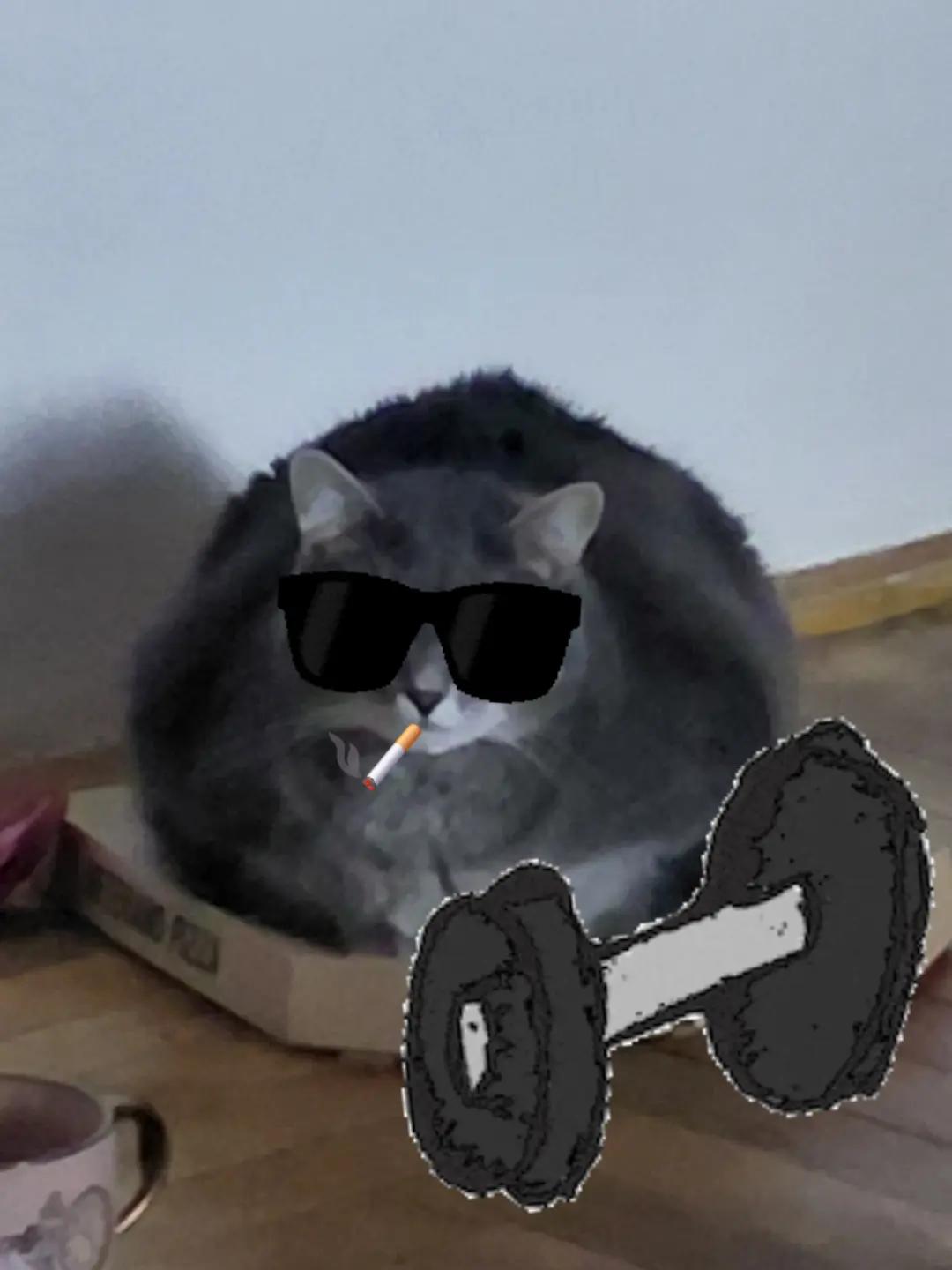 @Артичный мститель