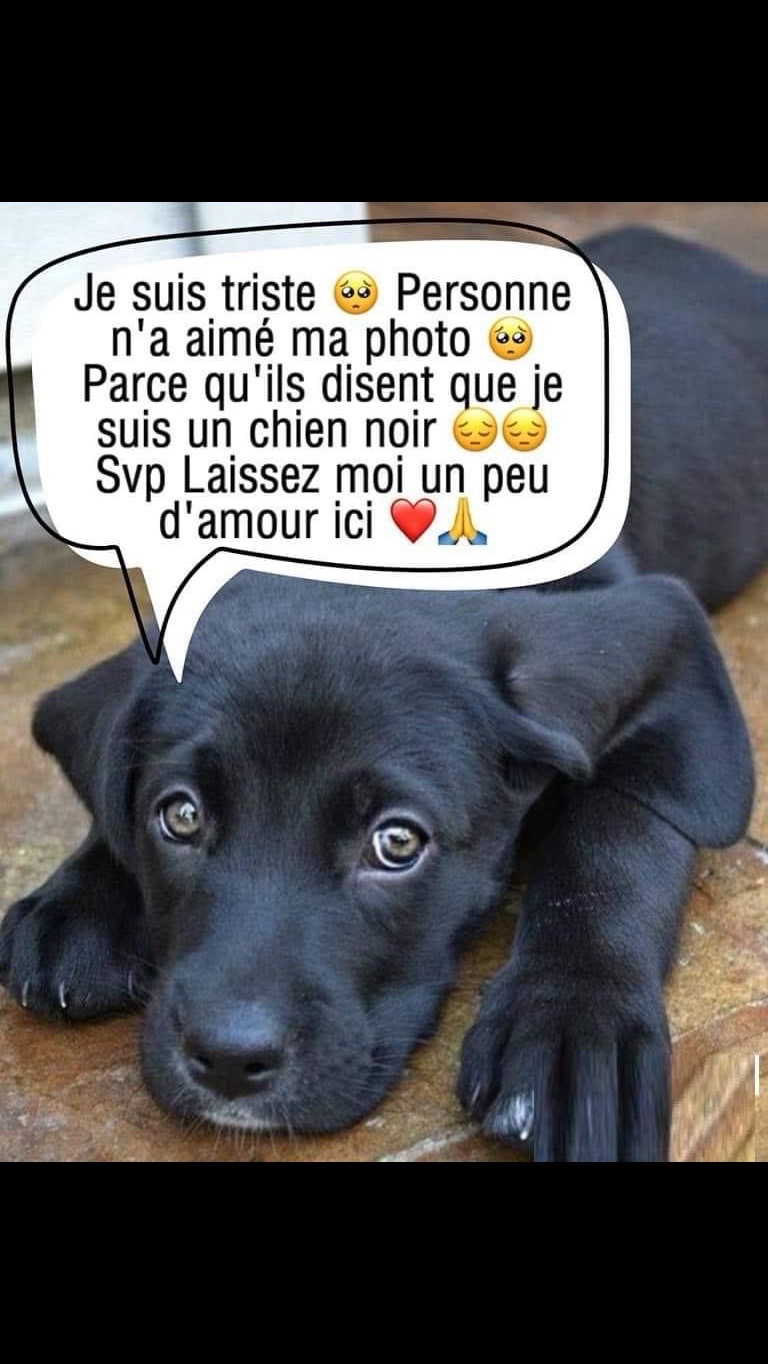 @Martine Levasseur487