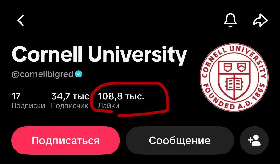 @чэнь руина⁴ || i=! 愛 🖤