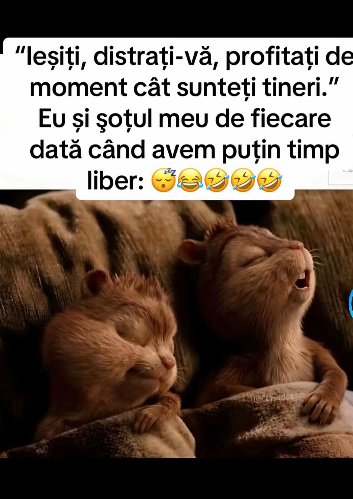 @Trinky
