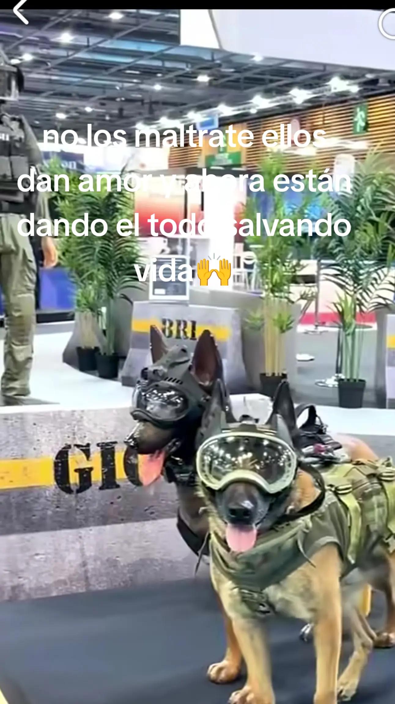 @🇩🇴 de❤️zorifabian🙌🦅